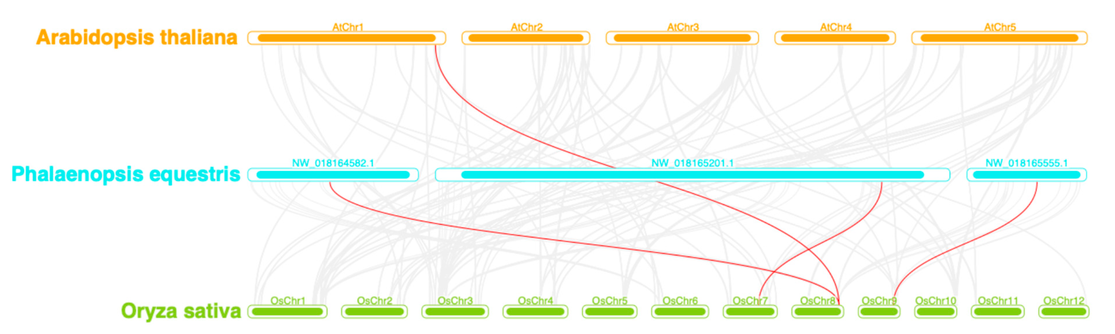 Plants 14 03090 g005