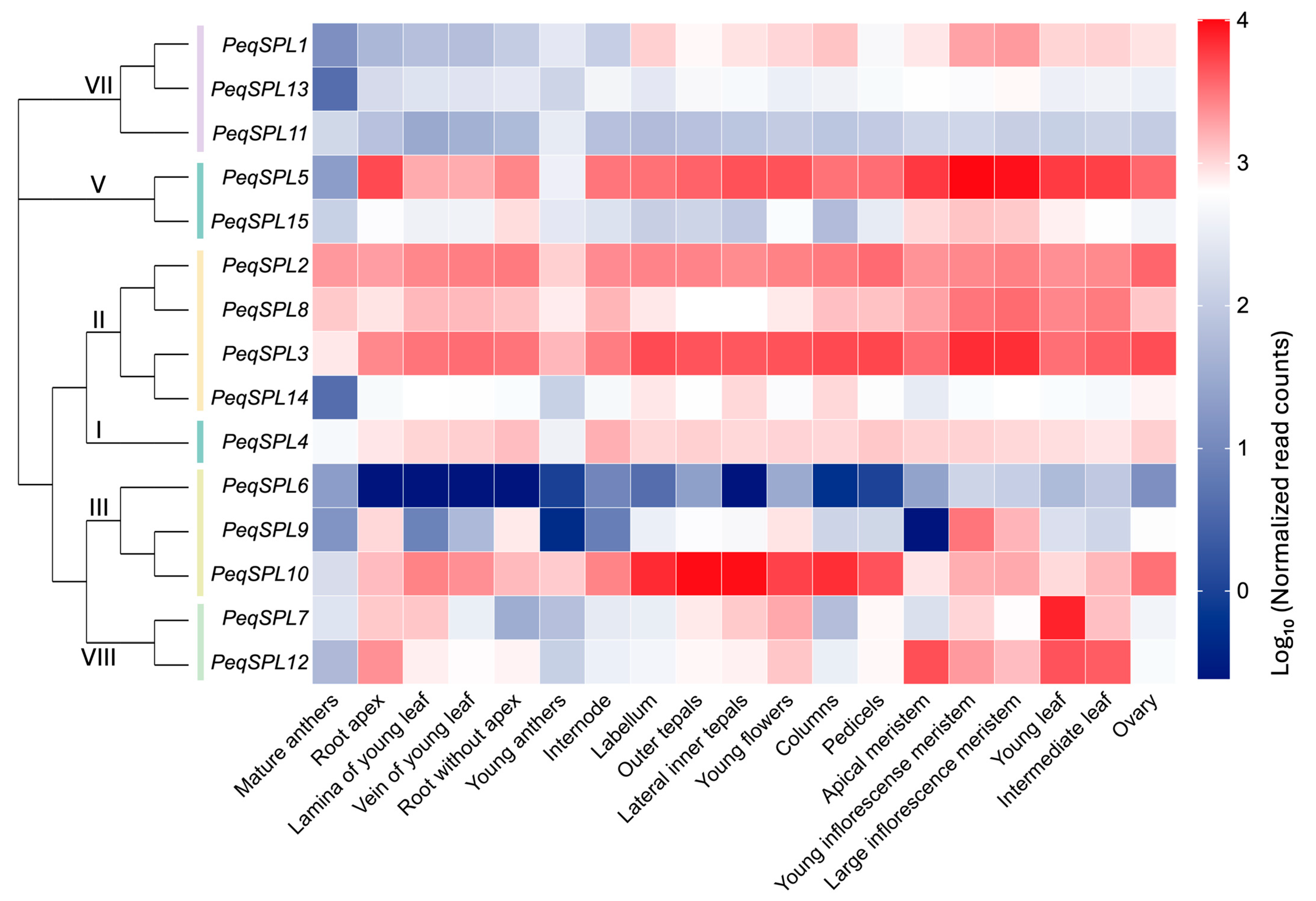 Plants 14 03090 g007