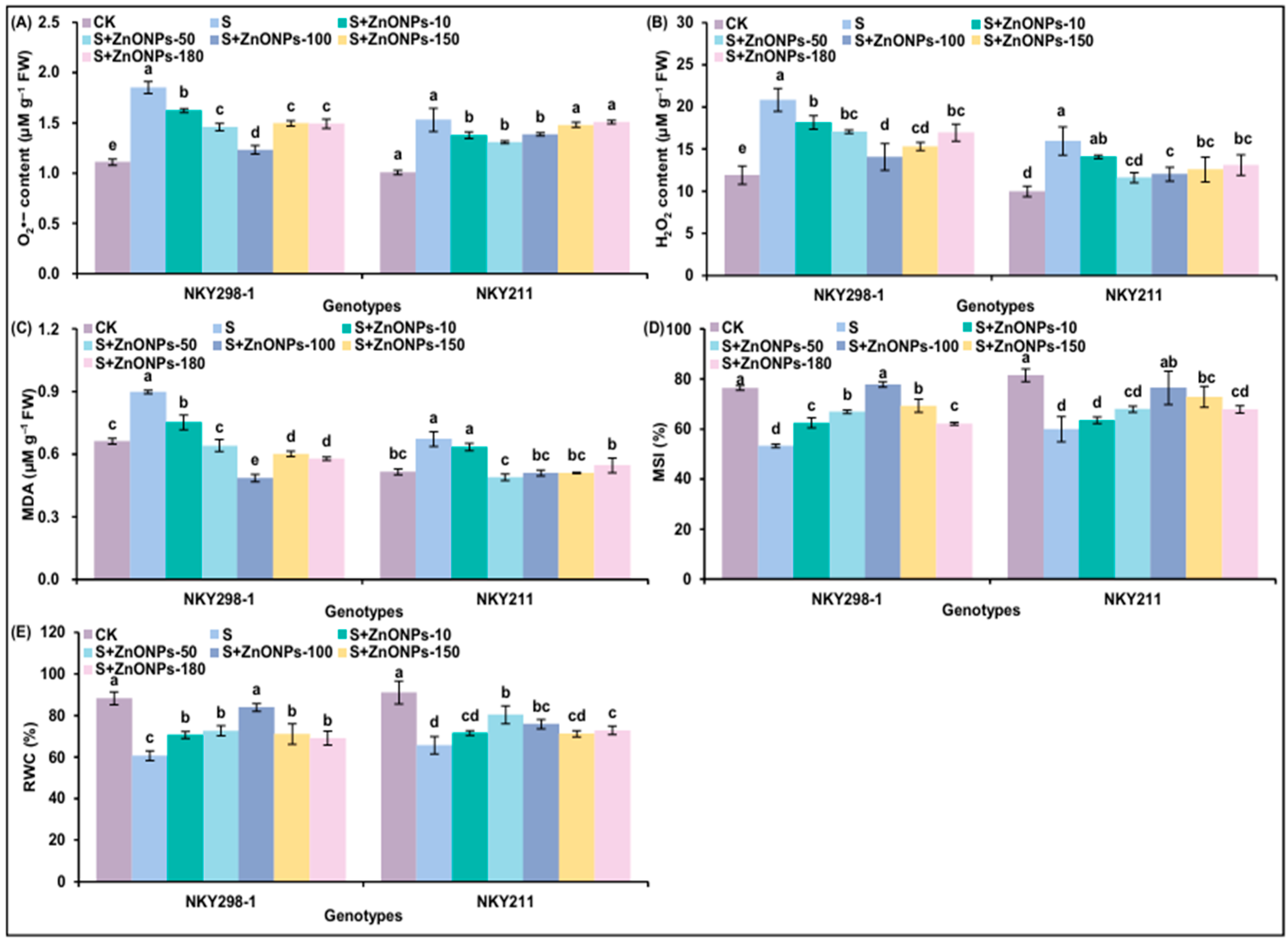 Plants 14 03104 g002