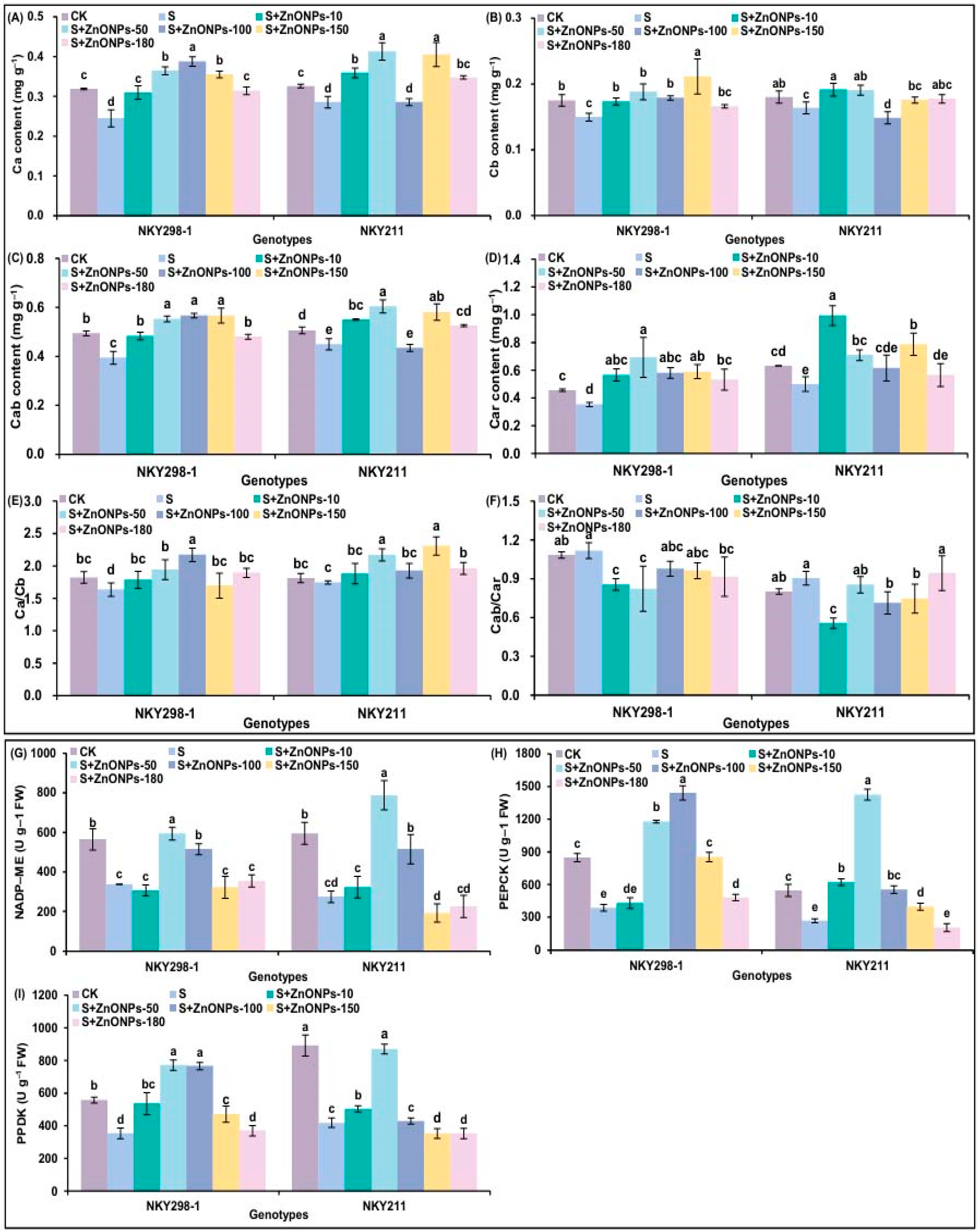 Plants 14 03104 g003