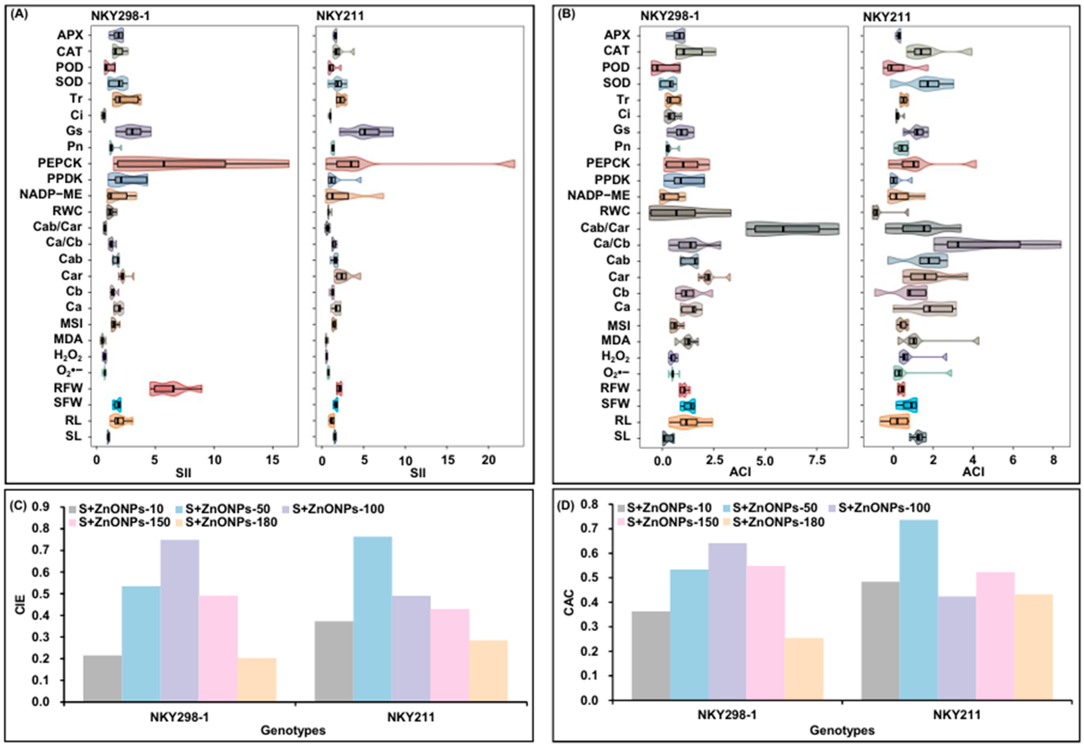 Plants 14 03104 g007