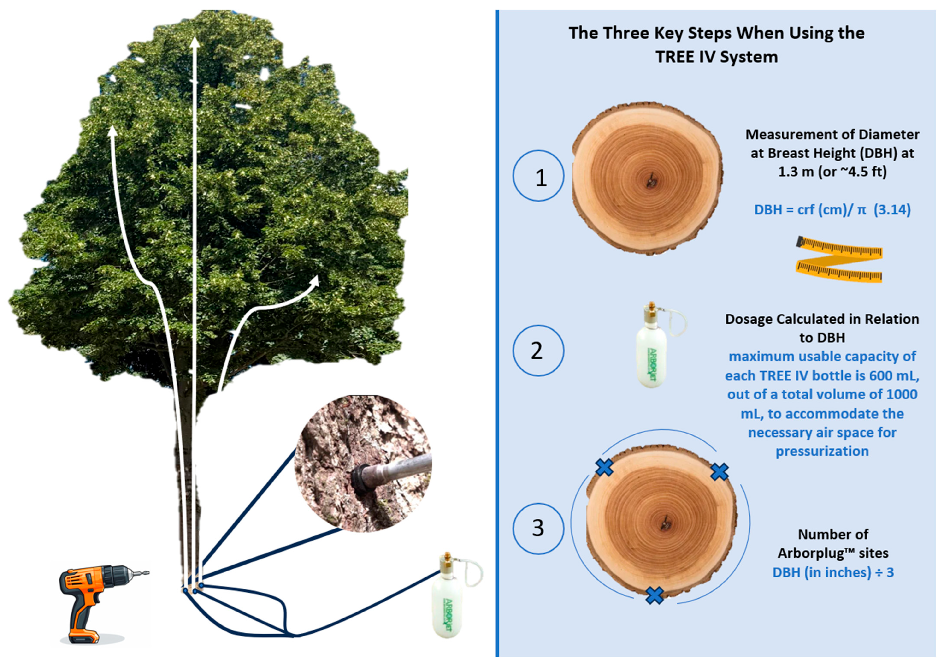 Plants 14 03108 g002