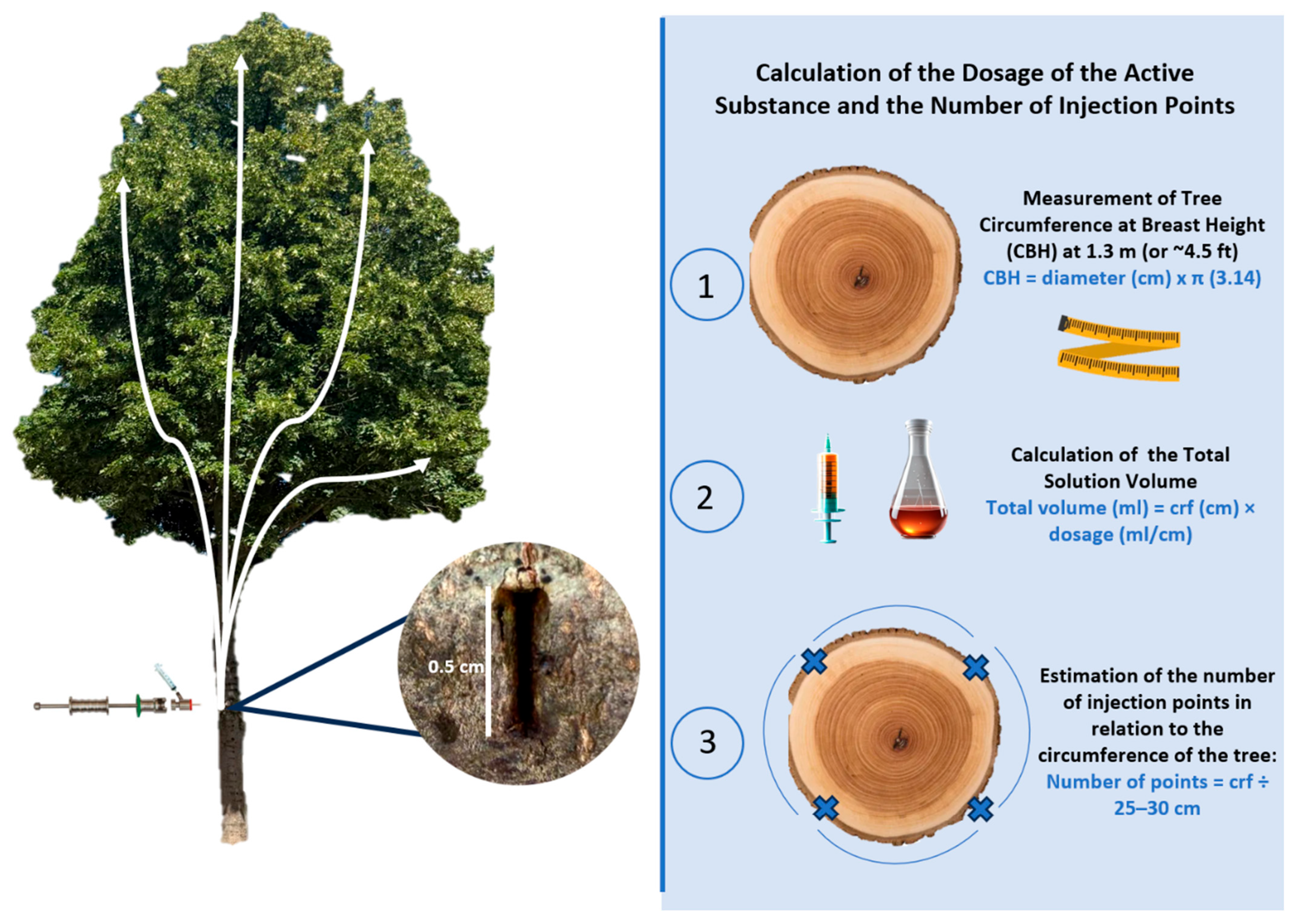 Plants 14 03108 g003