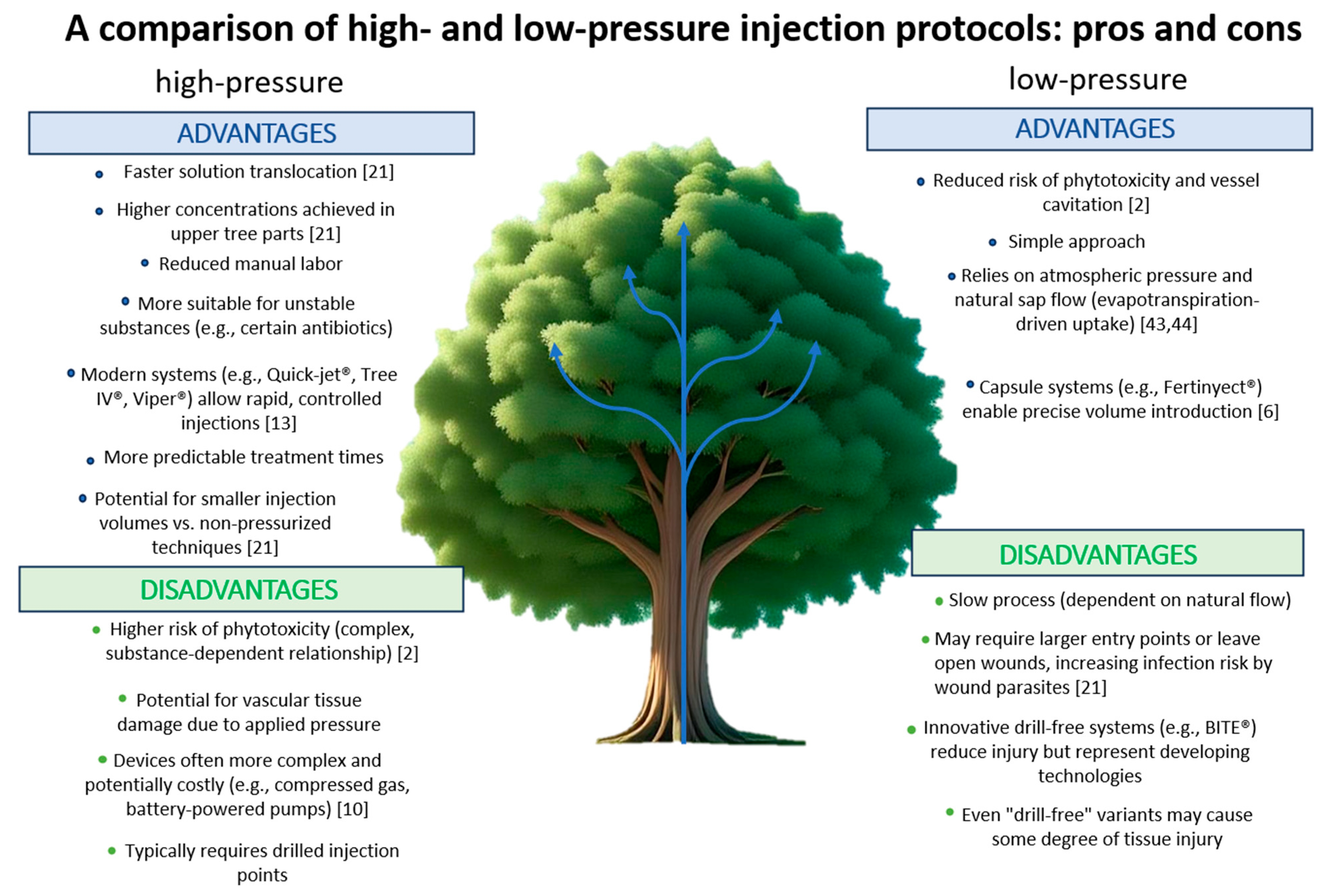 Plants 14 03108 g006