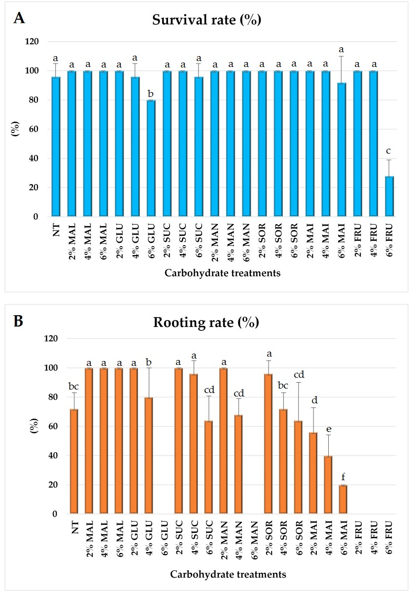 Plants 14 03125 g001