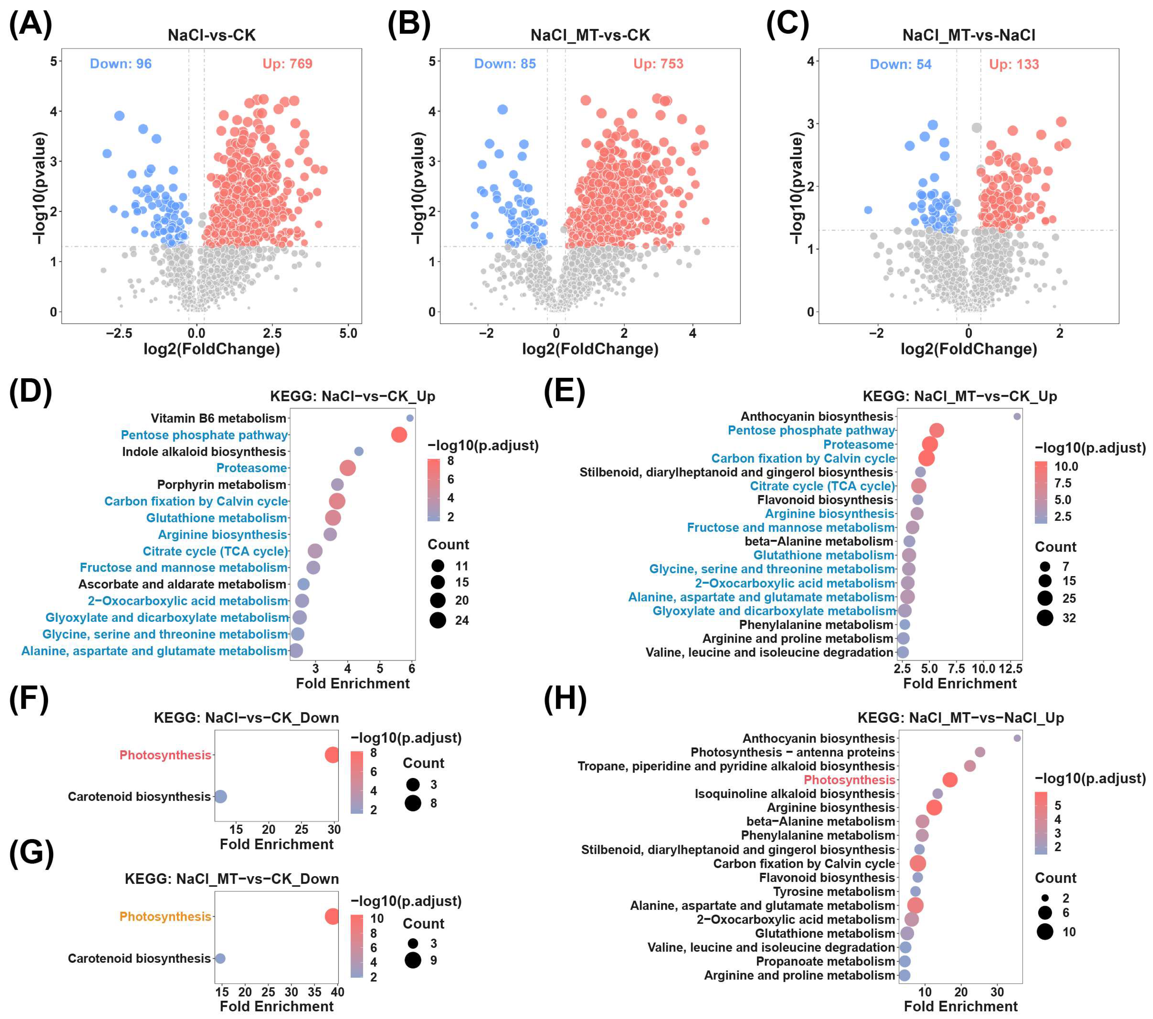 Plants 14 03129 g004 Plants 14 03129 g004