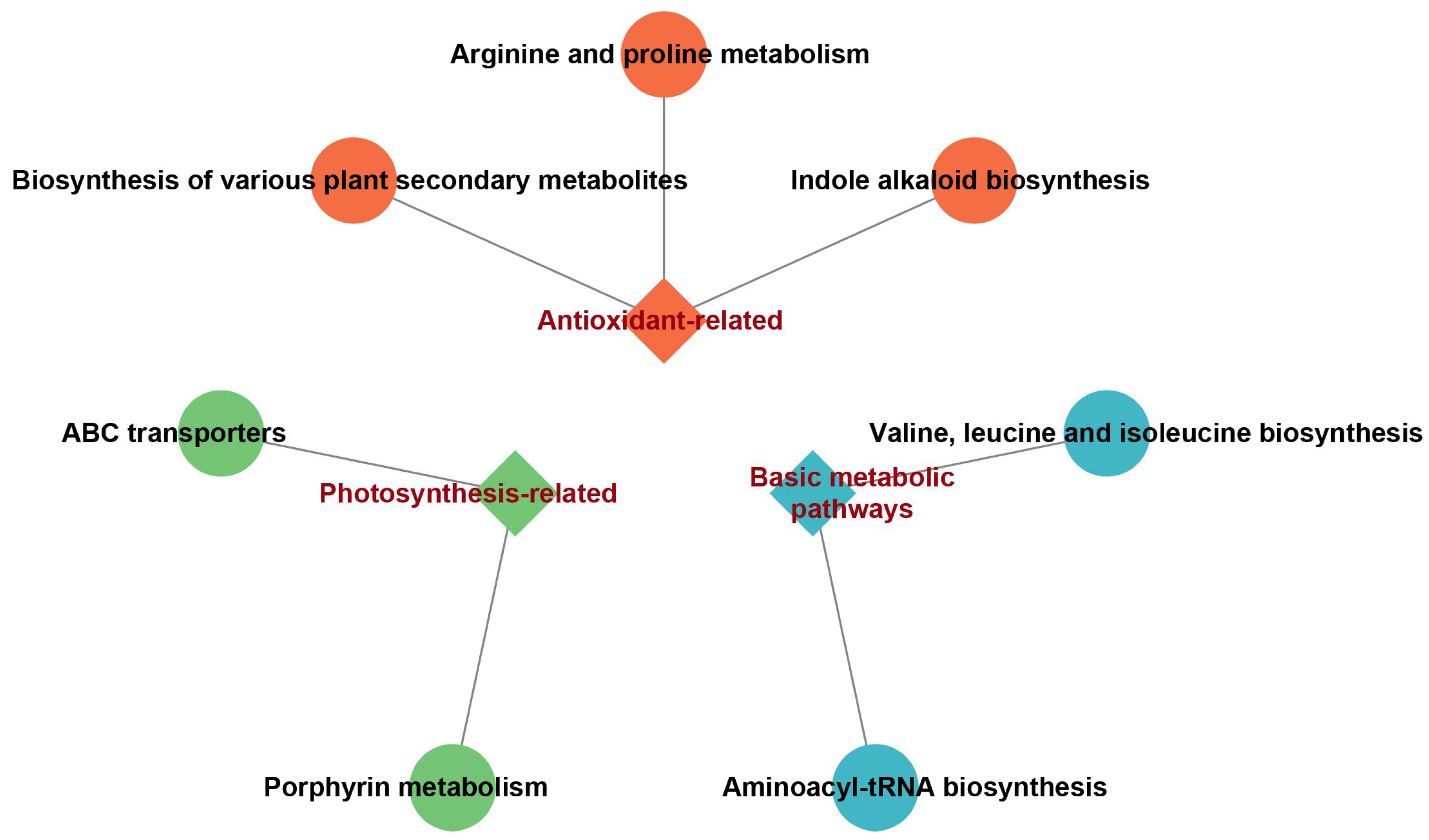 Plants 14 03129 g005 Plants 14 03129 g005
