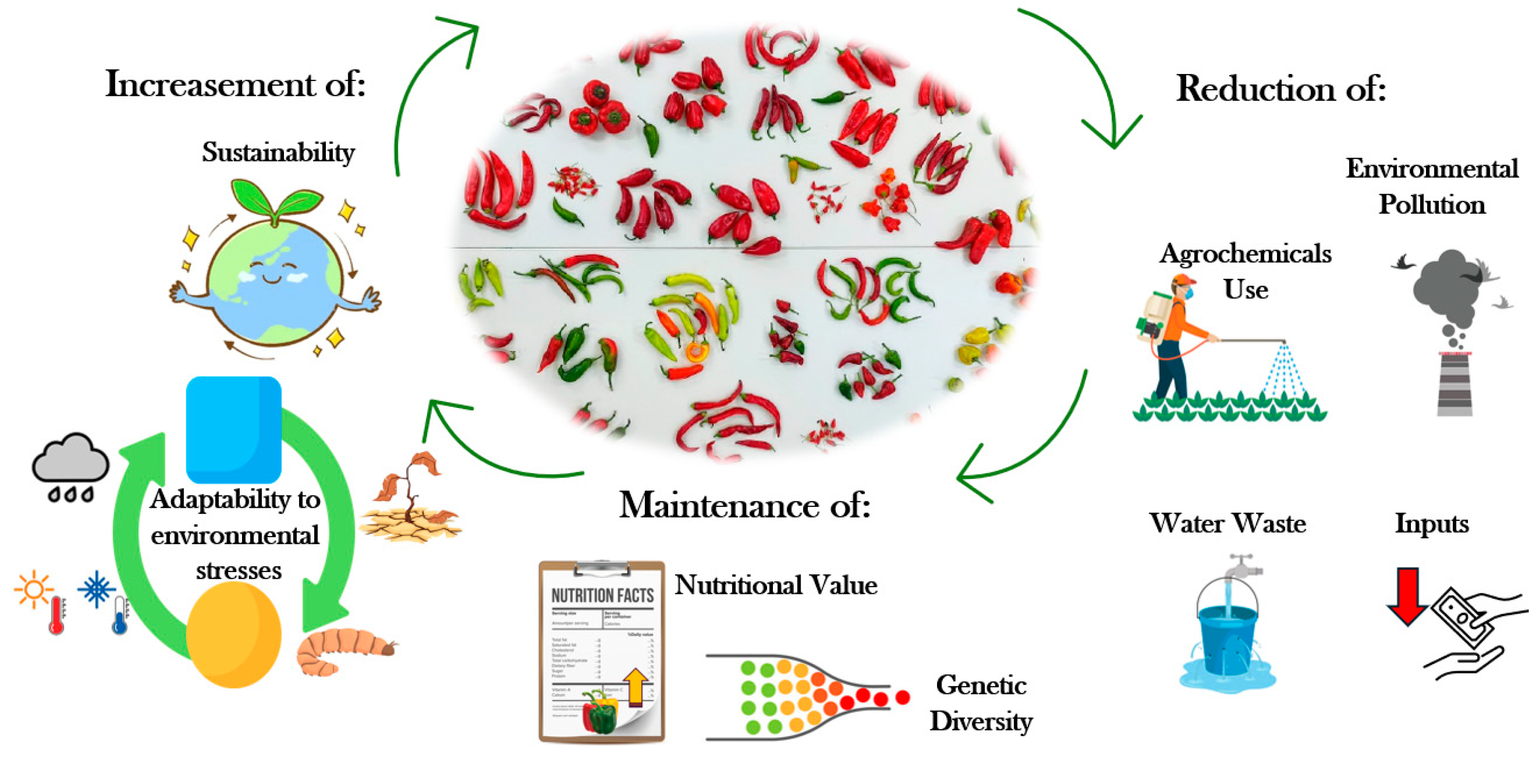 Plants 14 03164 g001