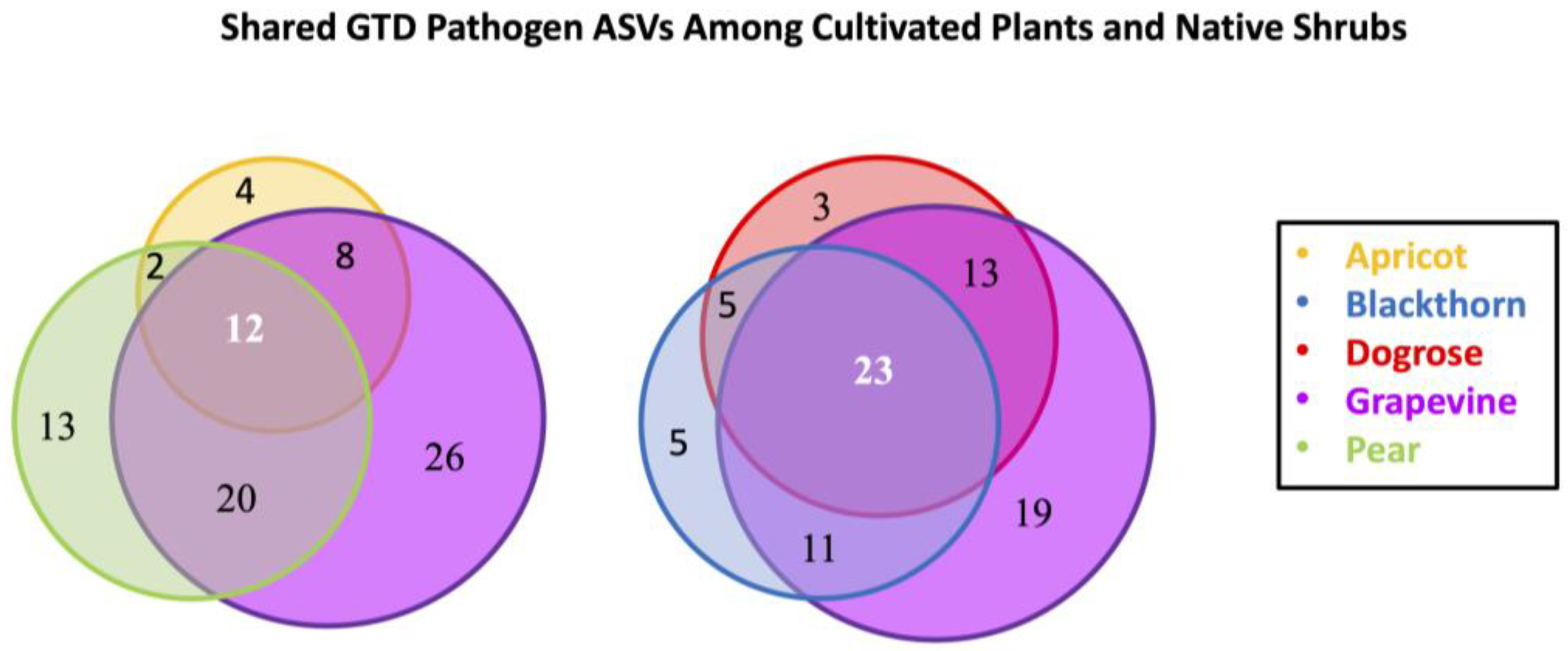 Plants 14 03178 g005