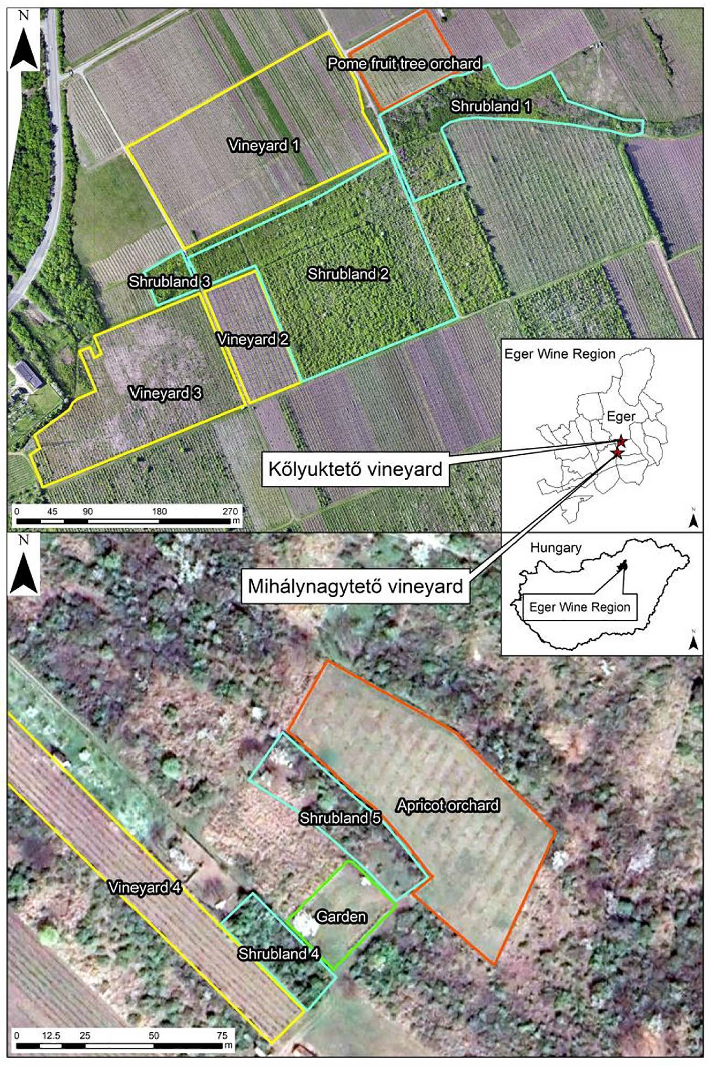 Plants 14 03178 g006