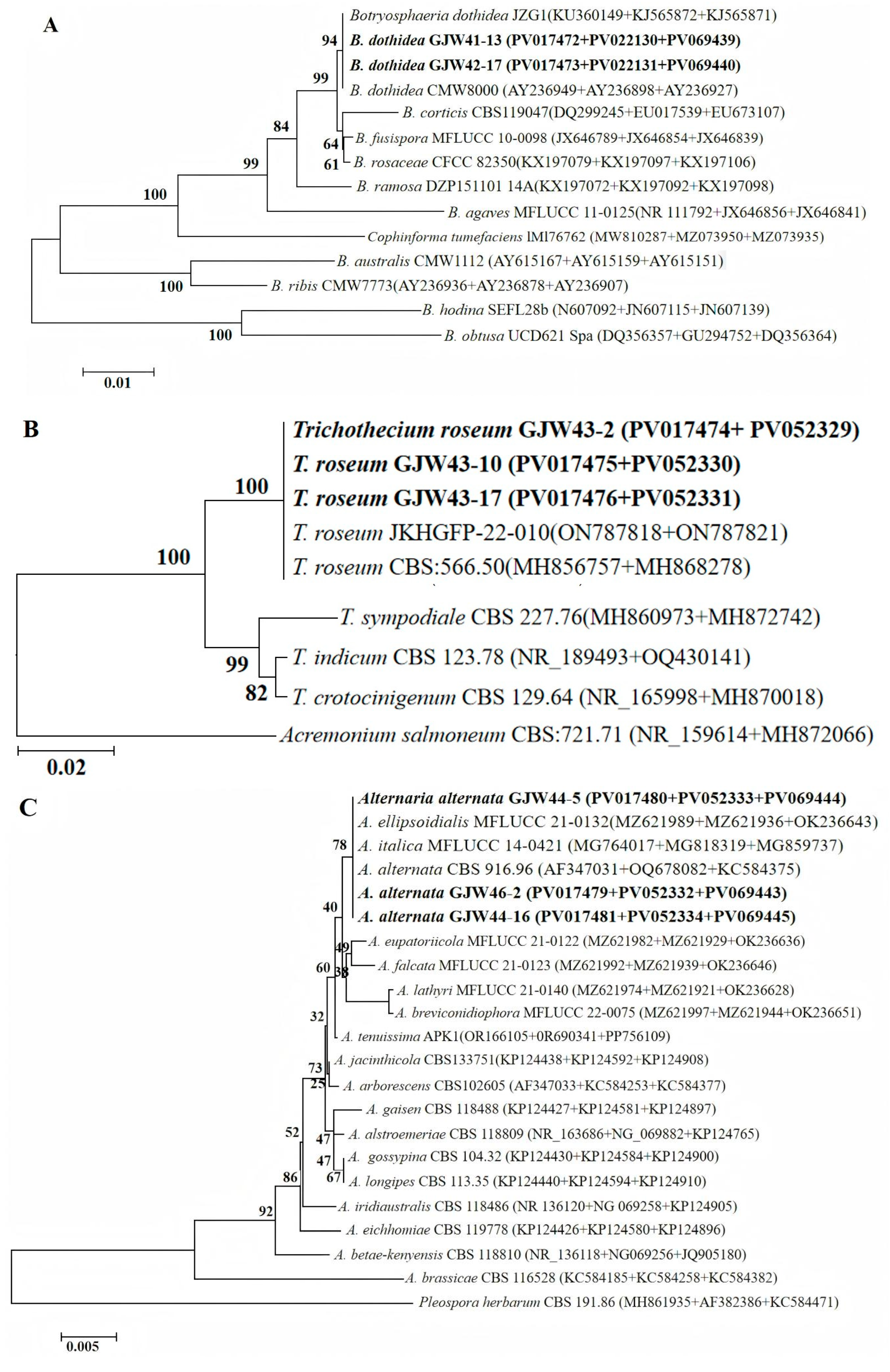 Plants 14 03201 g003a