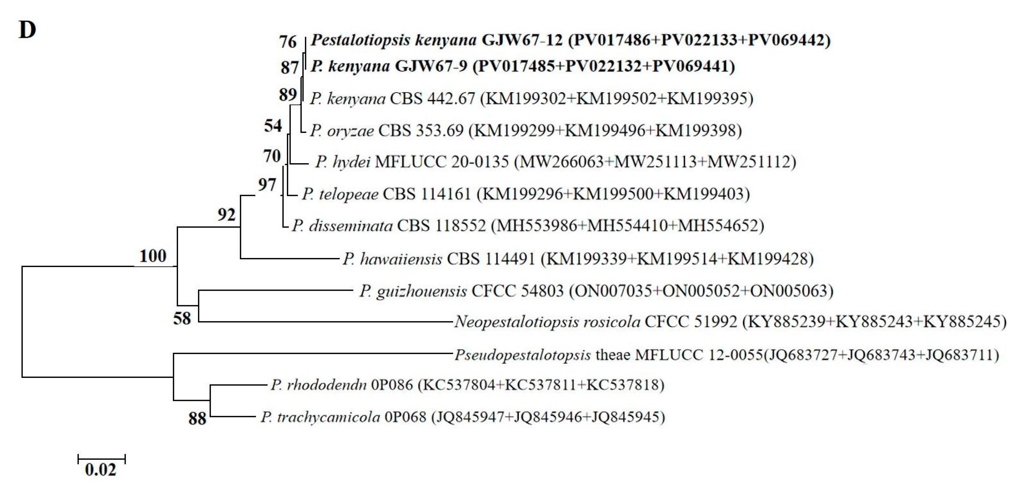 Plants 14 03201 g003b