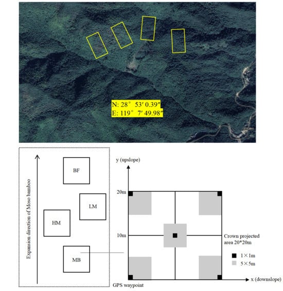 Plants 14 03231 g006