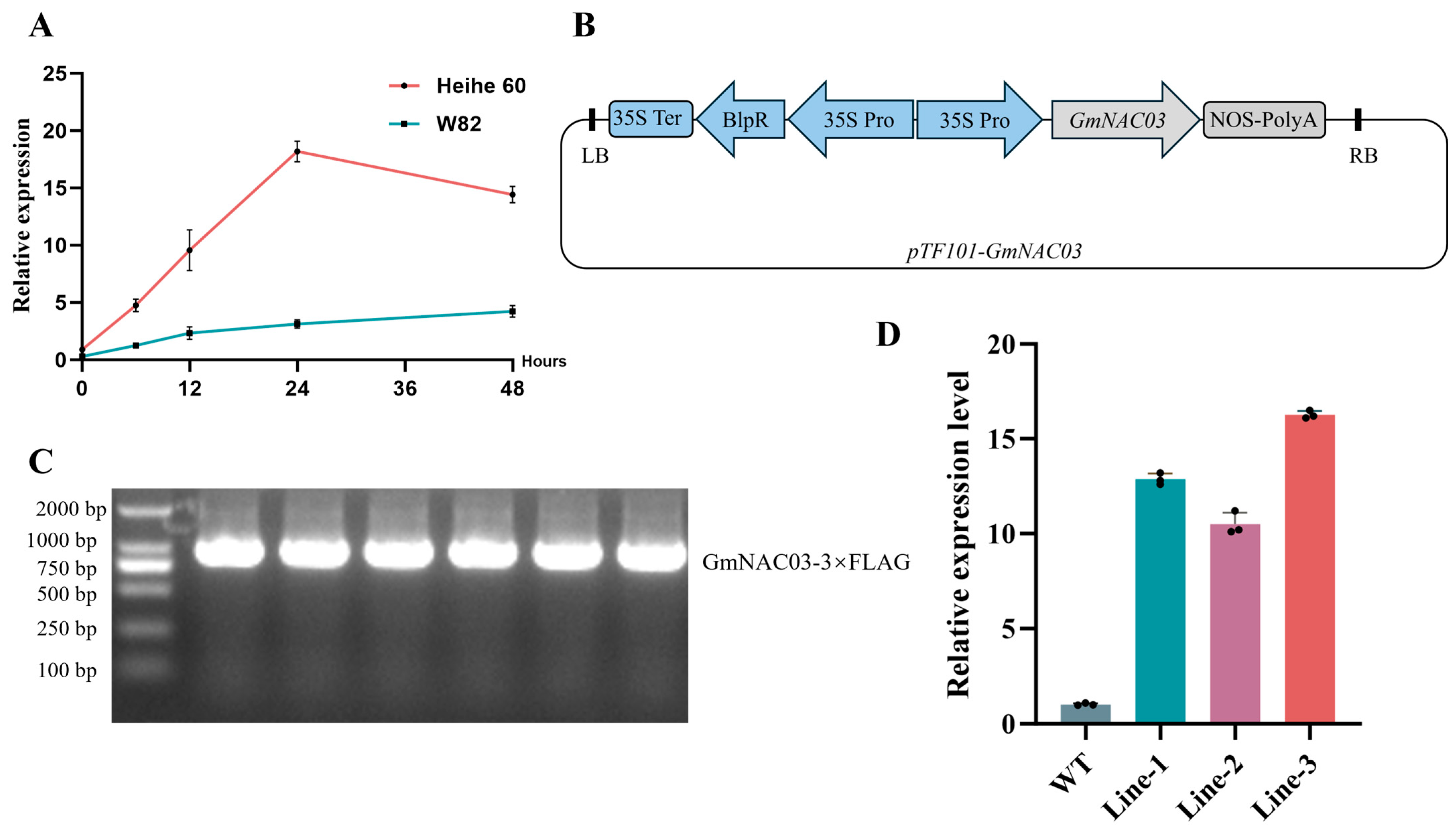 Plants 14 03235 g001