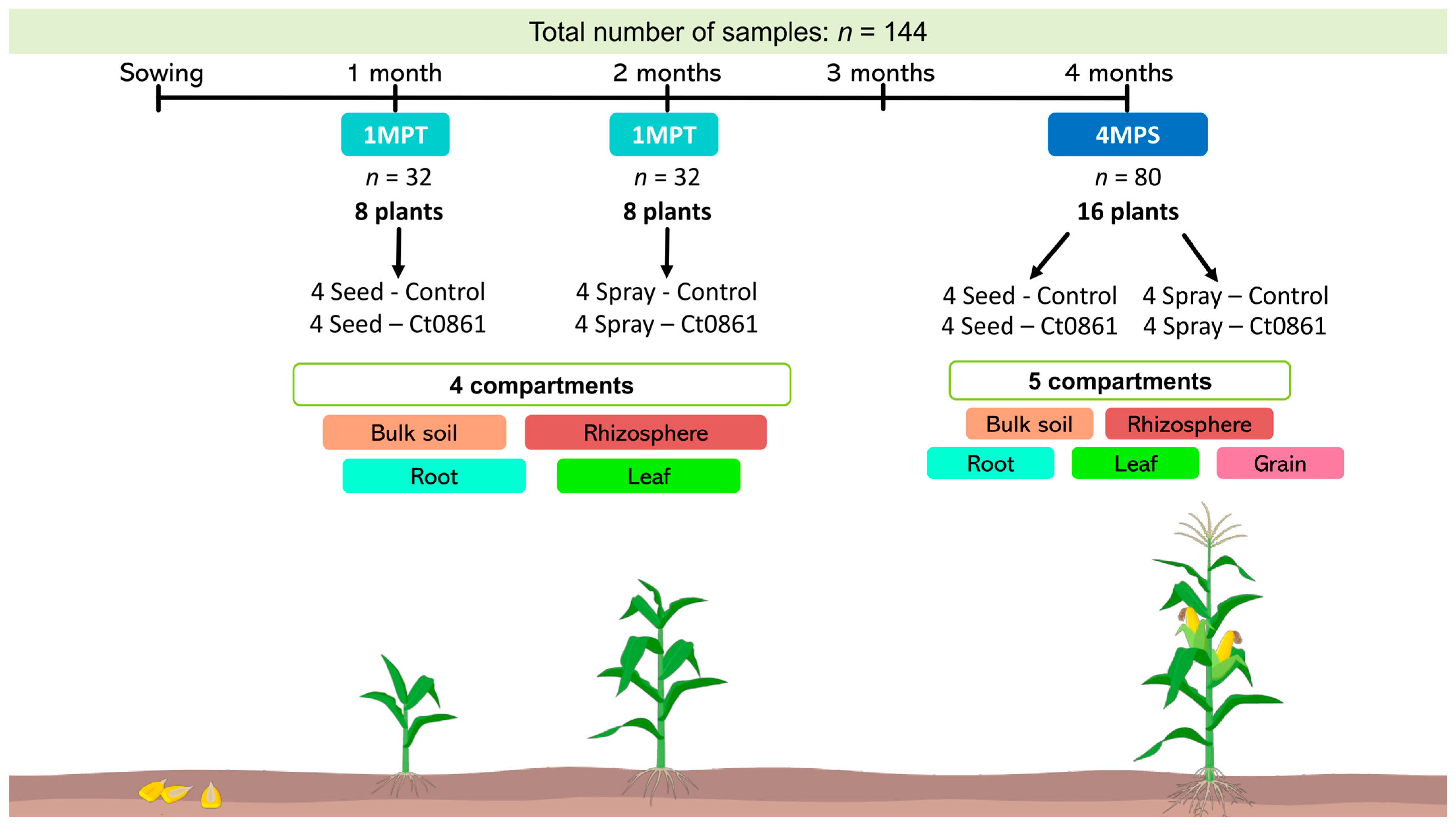 Plants 14 03236 g001