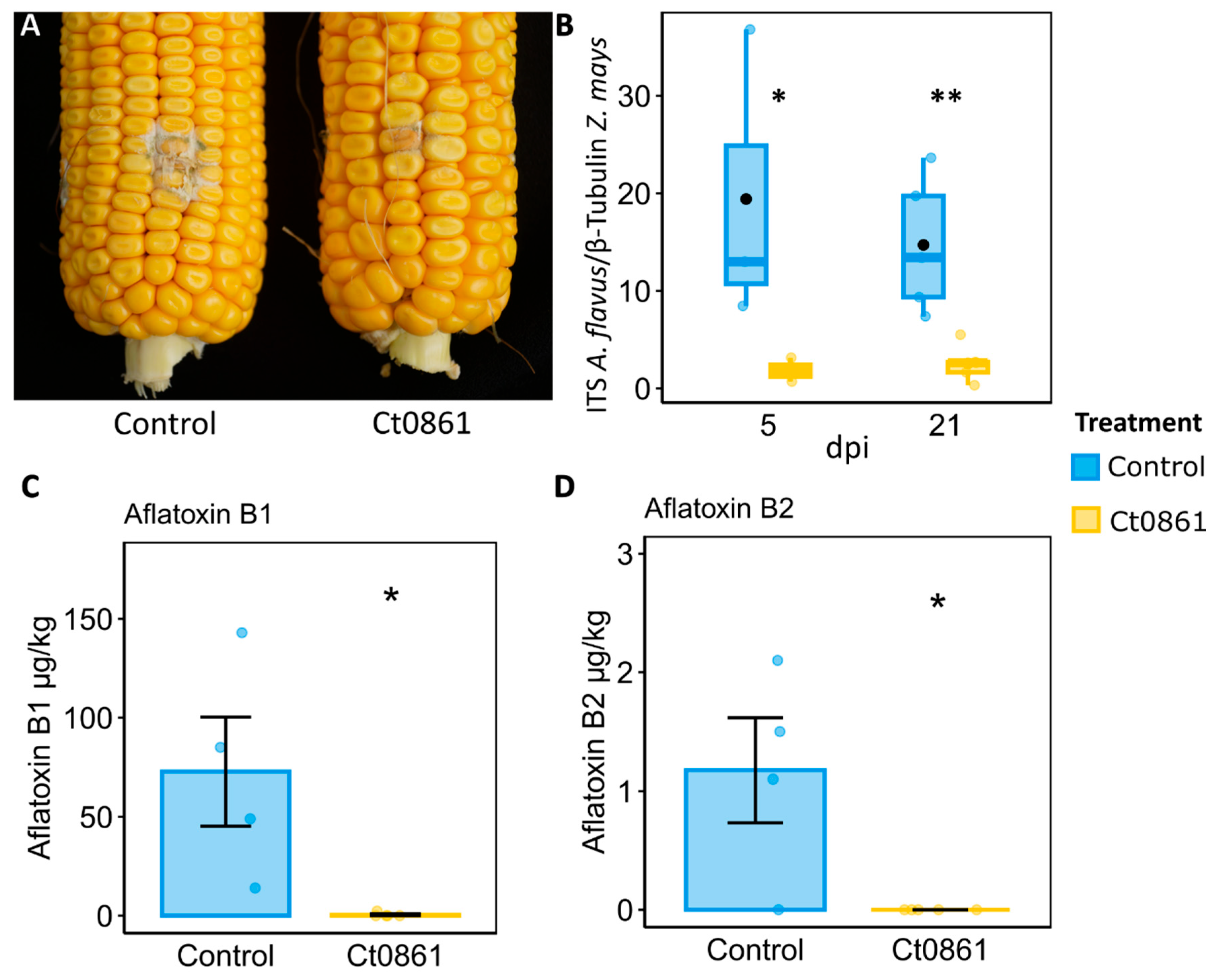 Plants 14 03236 g006