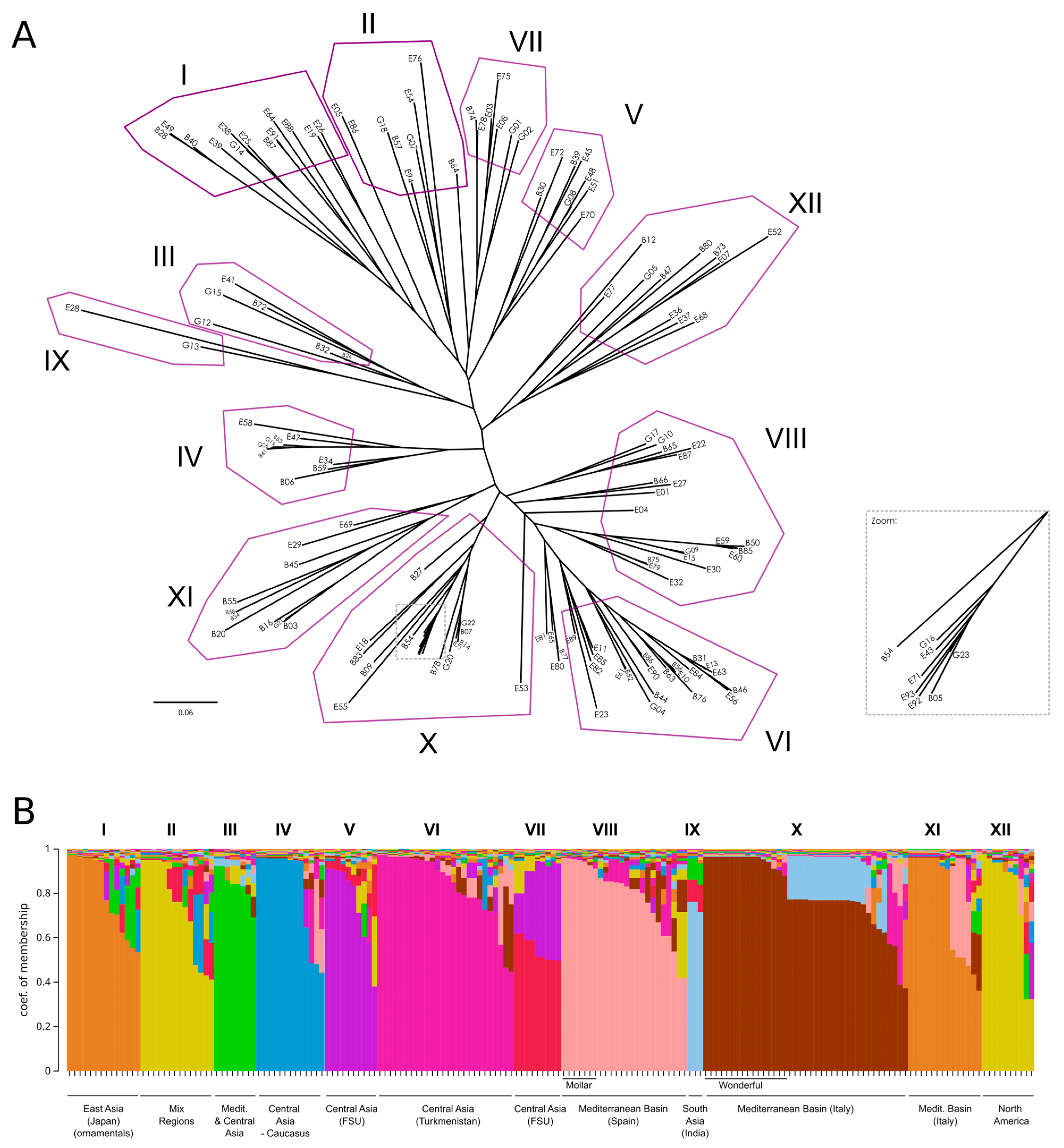 Plants 14 03239 g005