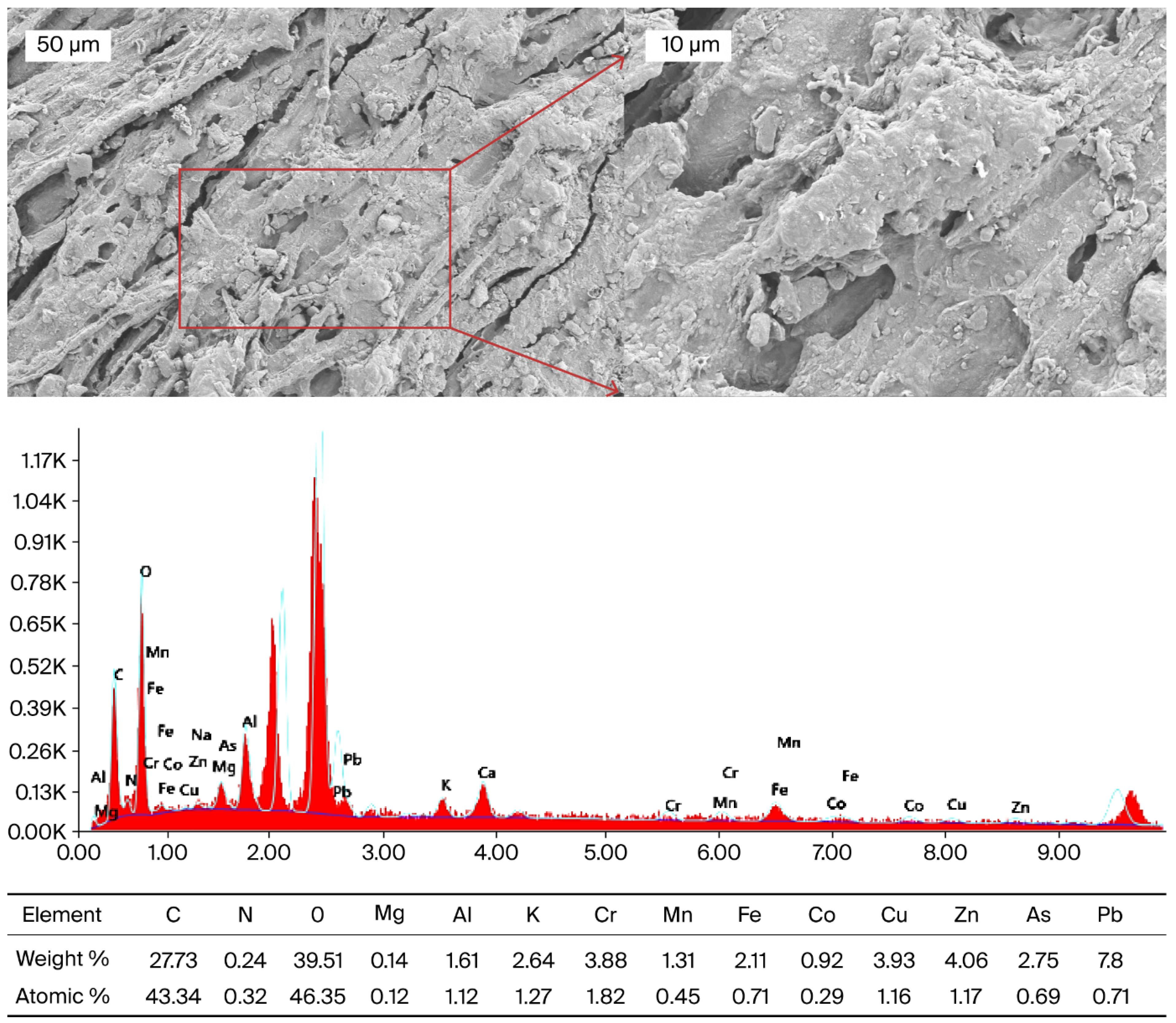 Plants 14 03243 g005 Plants 14 03243 g005