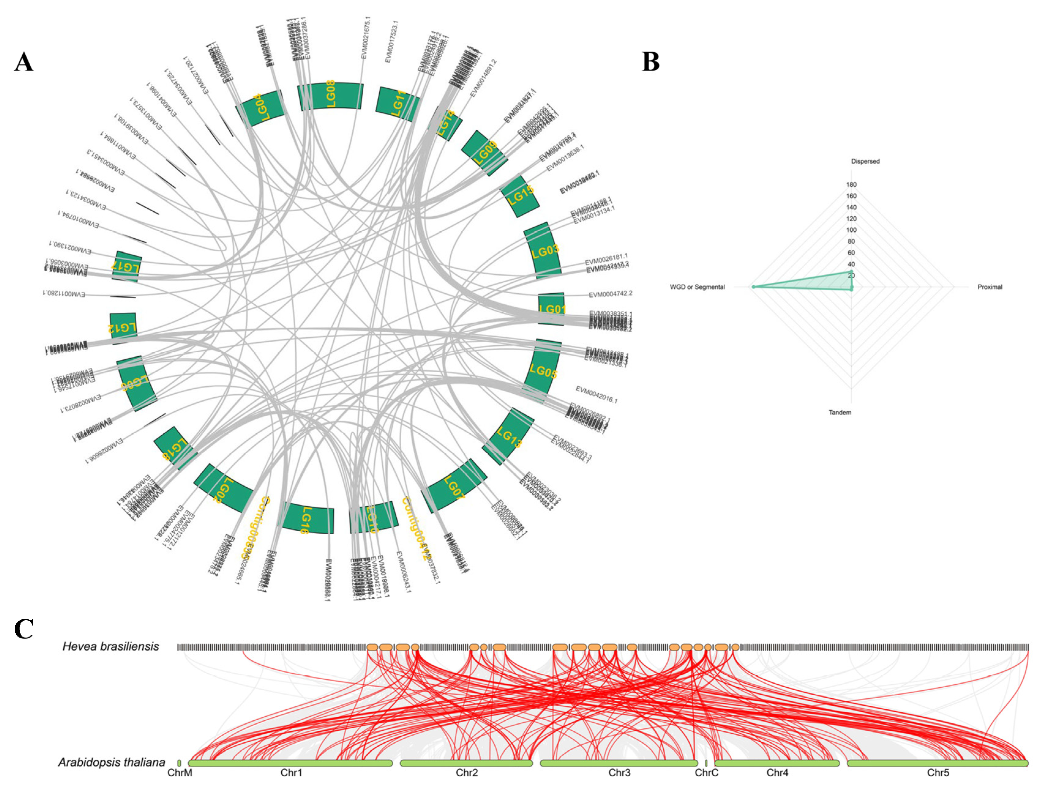 Plants 14 03244 g002