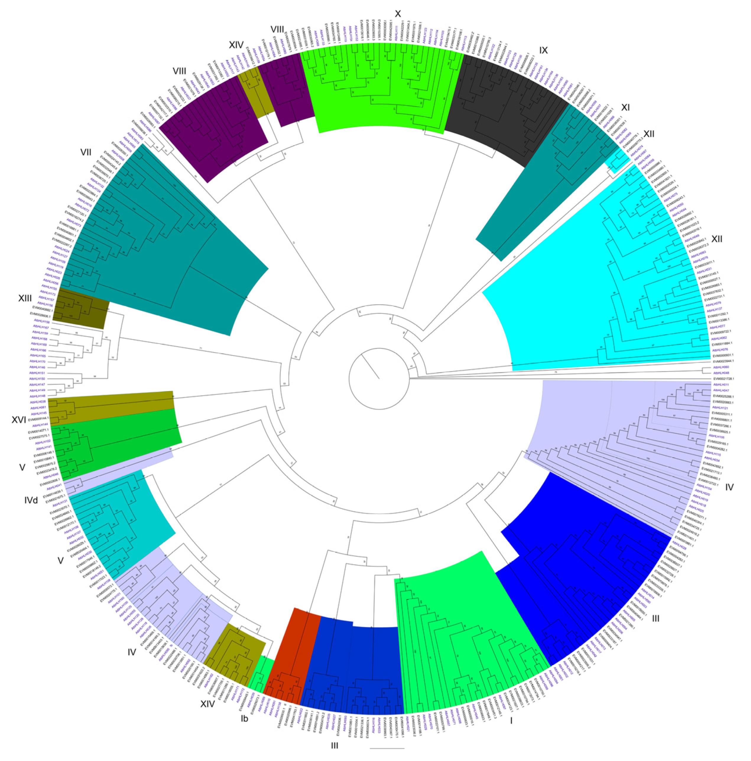 Plants 14 03244 g003