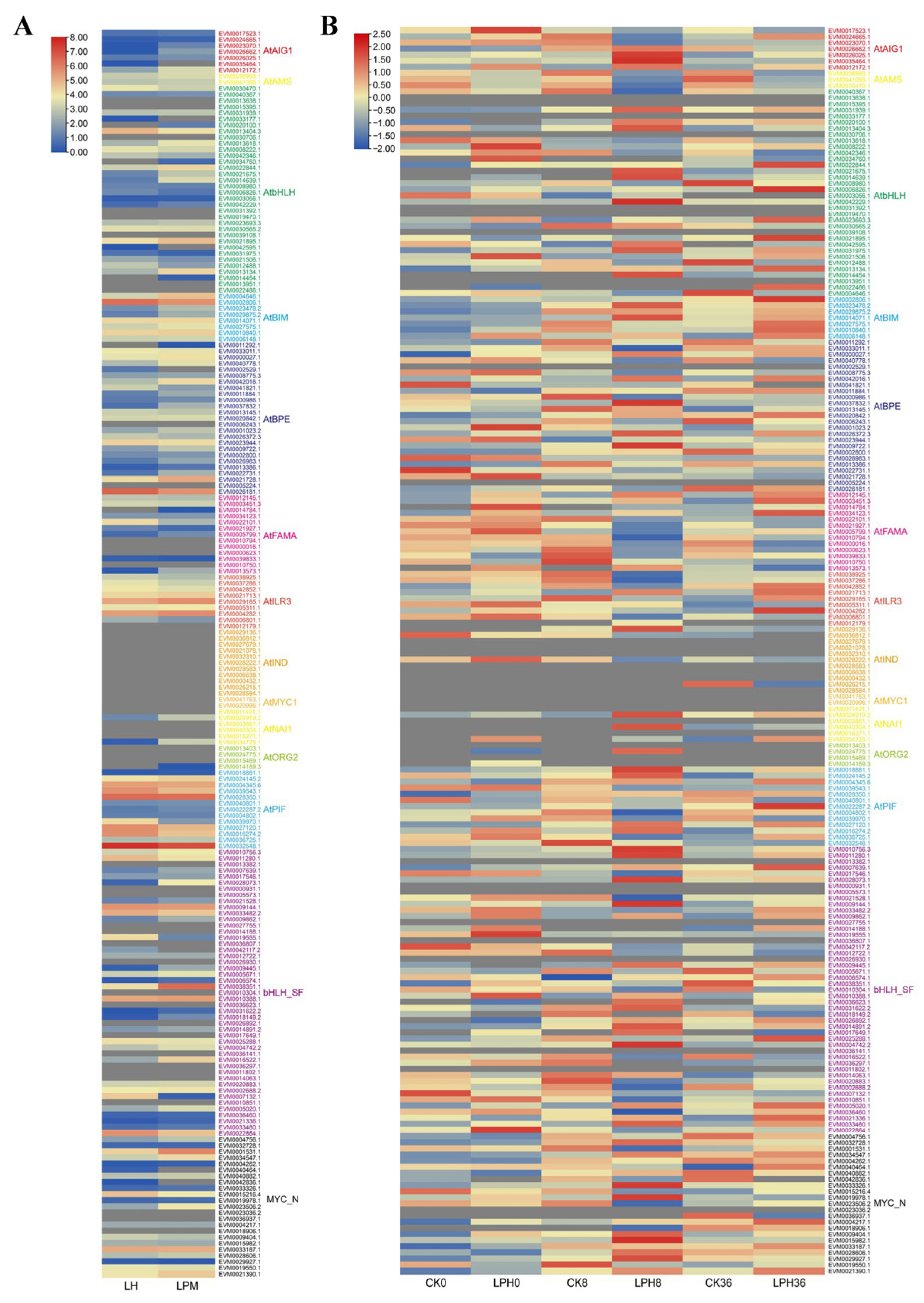Plants 14 03244 g004