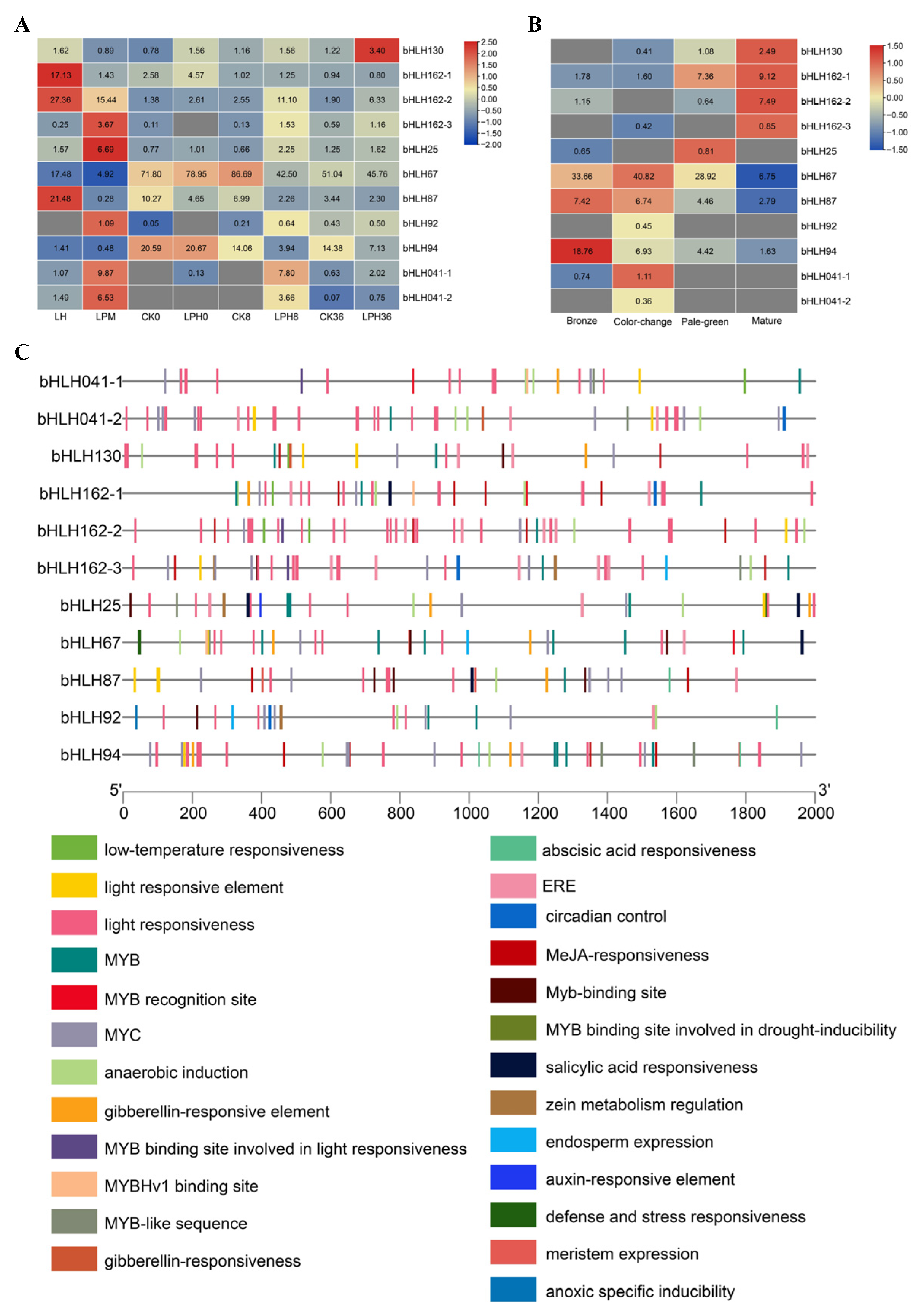 Plants 14 03244 g005