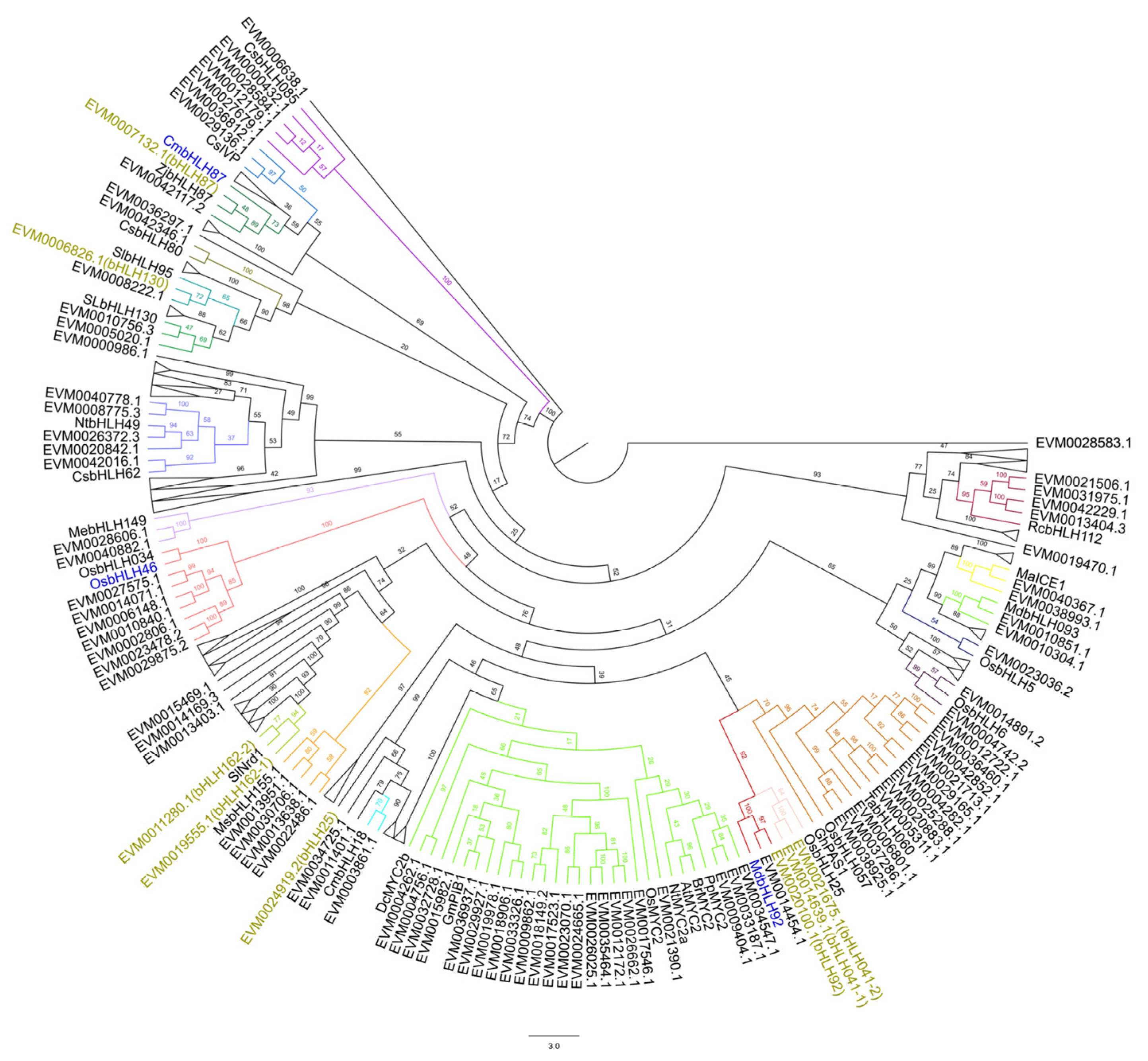 Plants 14 03244 g006