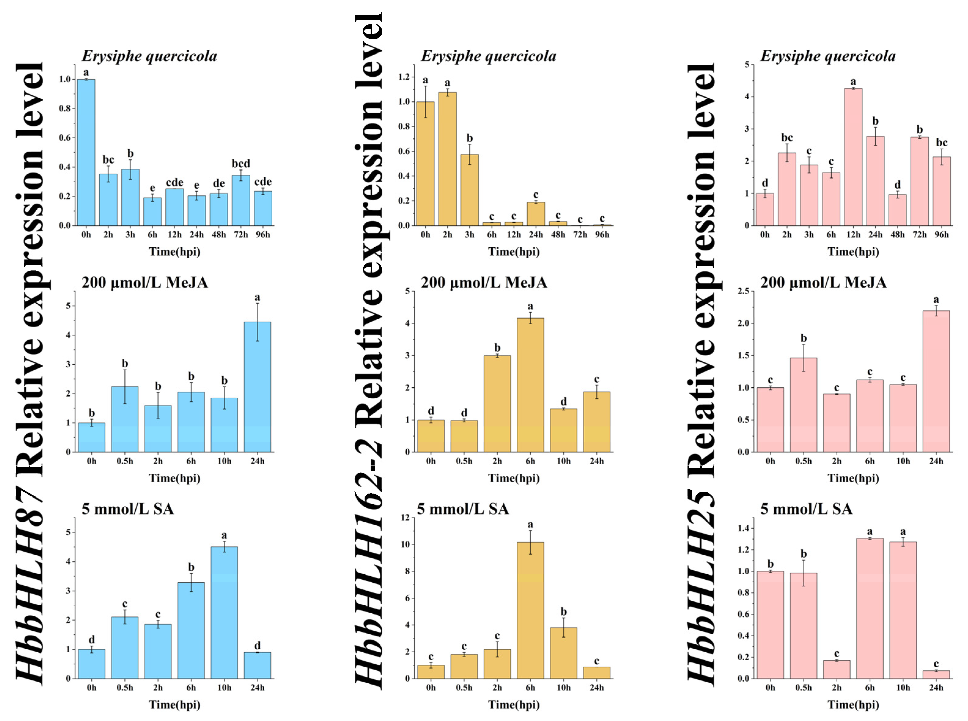 Plants 14 03244 g007
