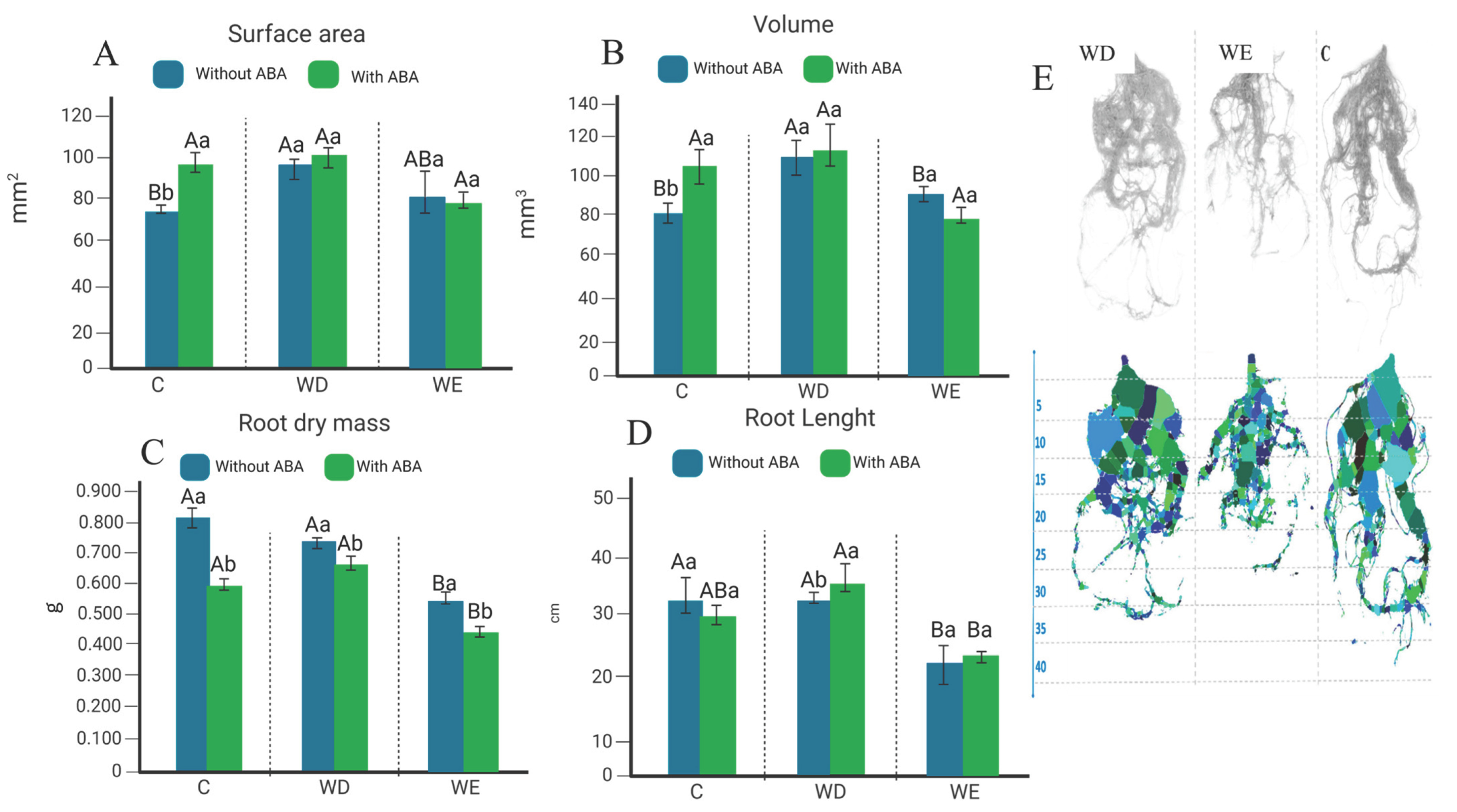 Plants 14 03245 g002