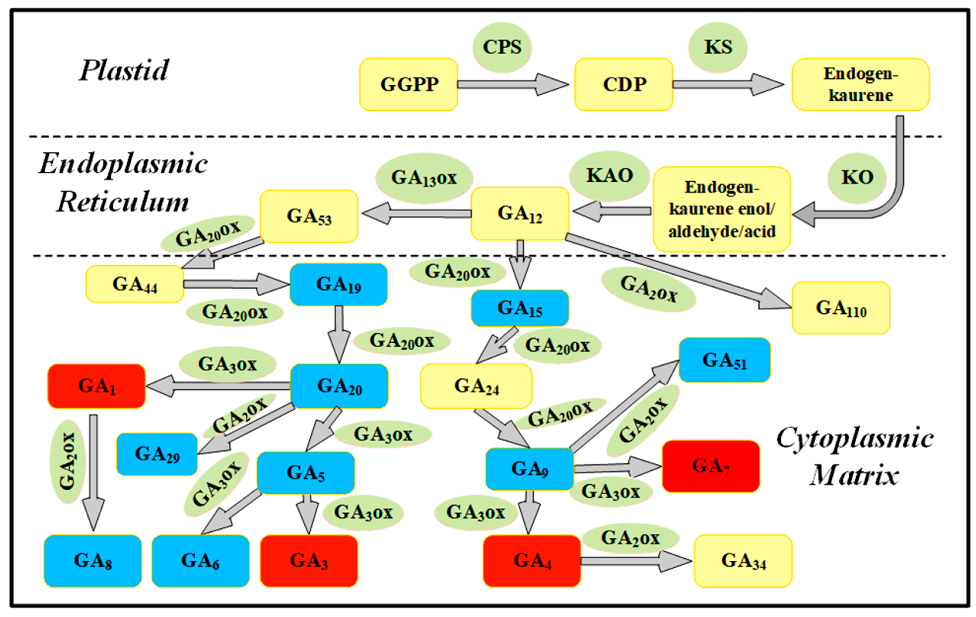 Plants 14 03246 g004