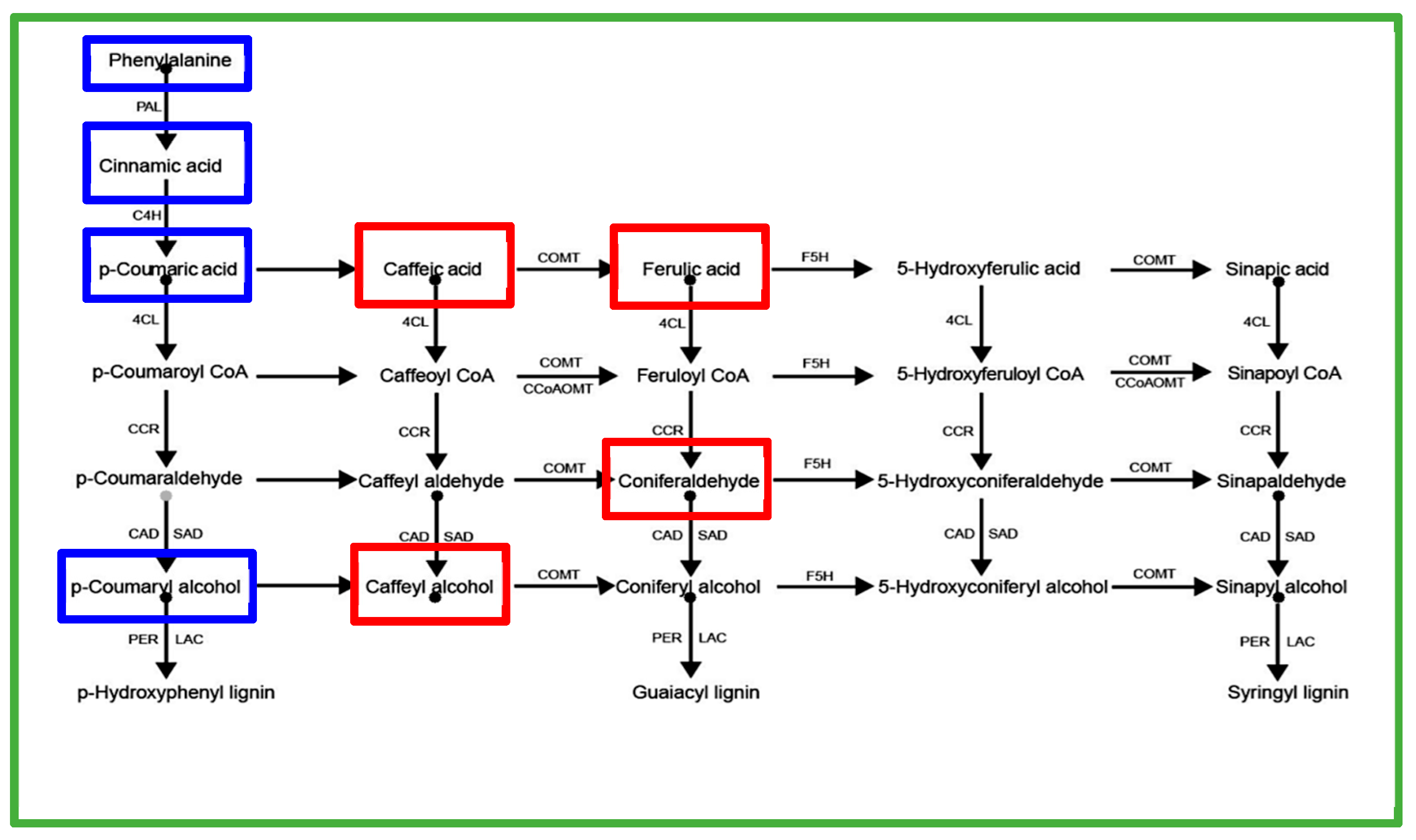 Plants 14 03246 g008