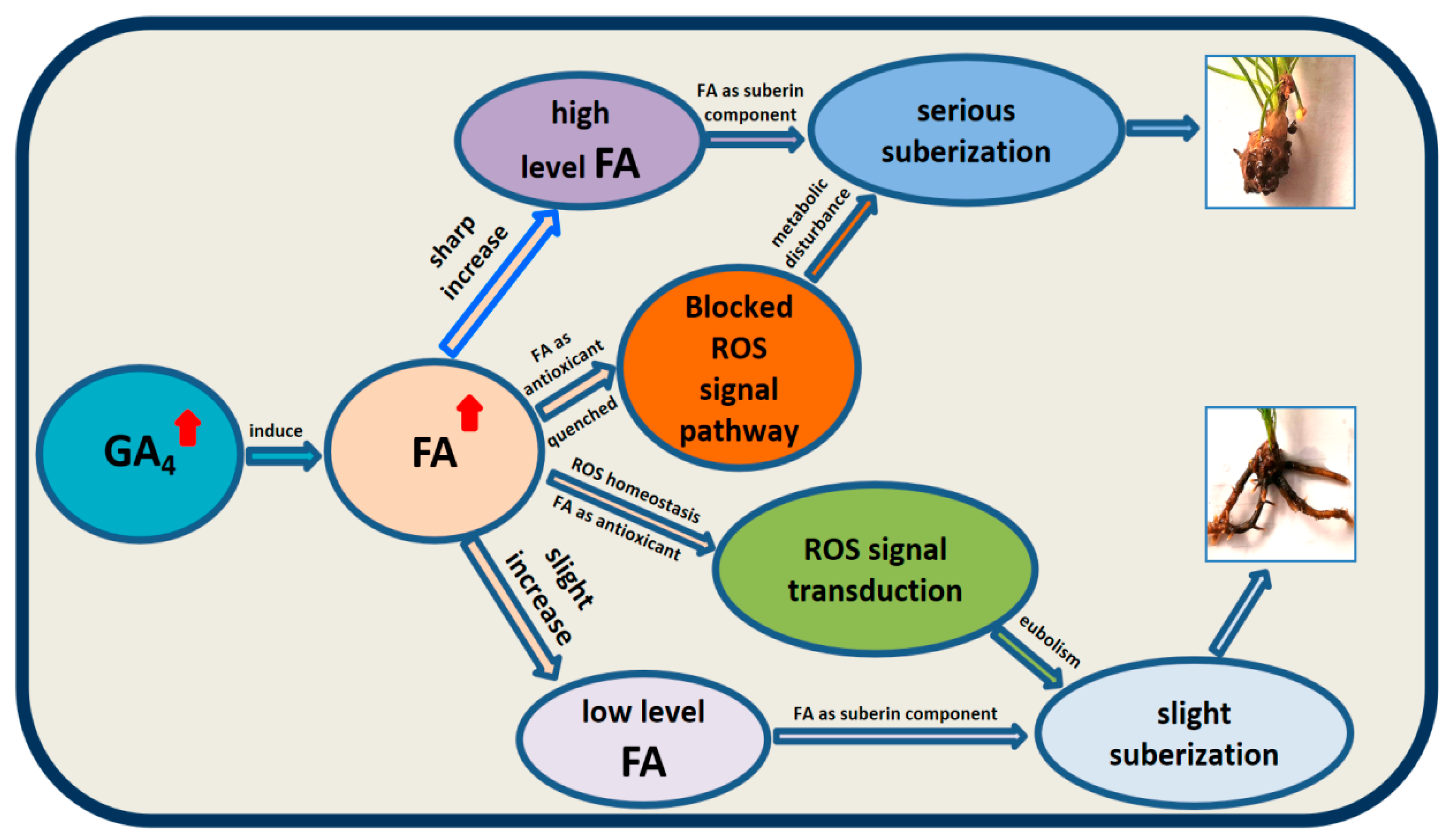 Plants 14 03246 g009