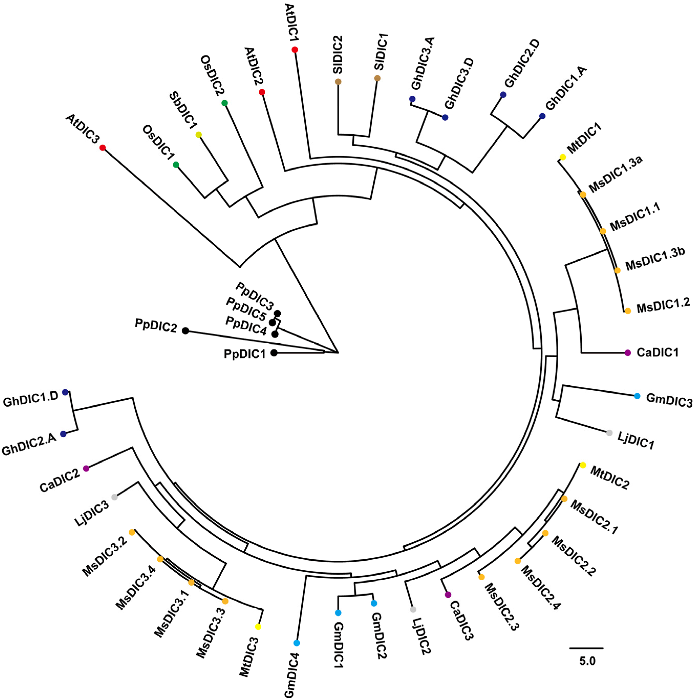 Plants 14 03250 g001