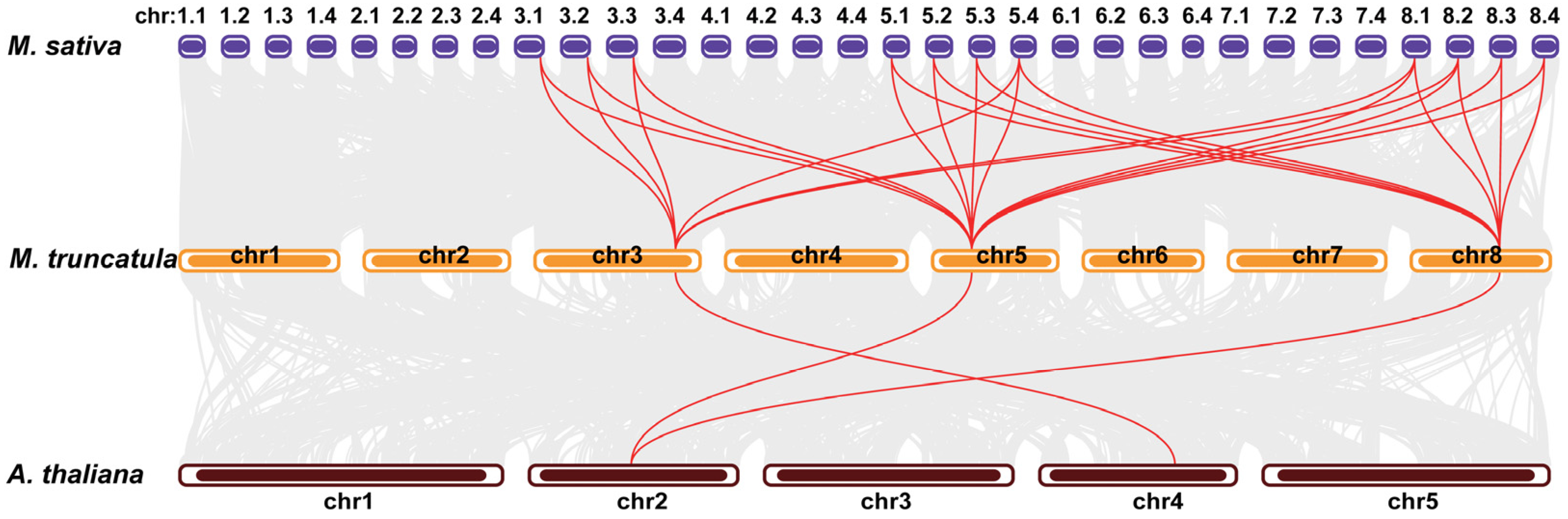 Plants 14 03250 g002