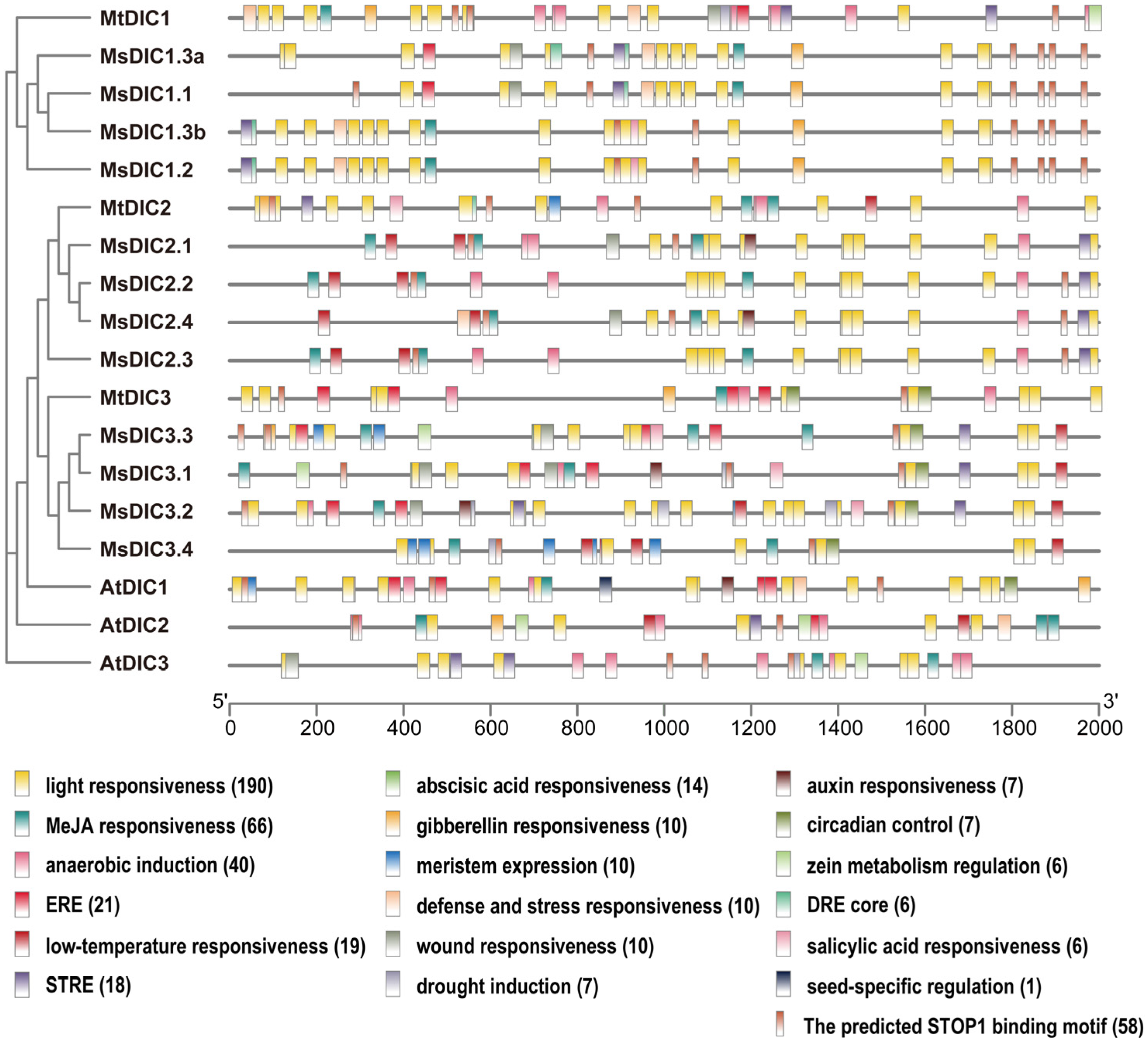 Plants 14 03250 g004