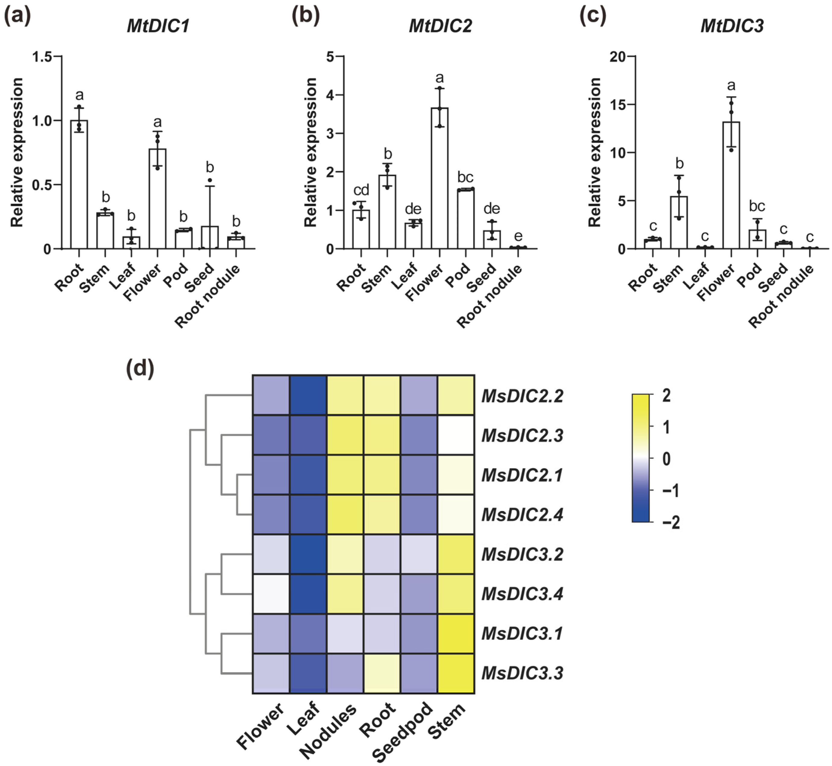 Plants 14 03250 g005
