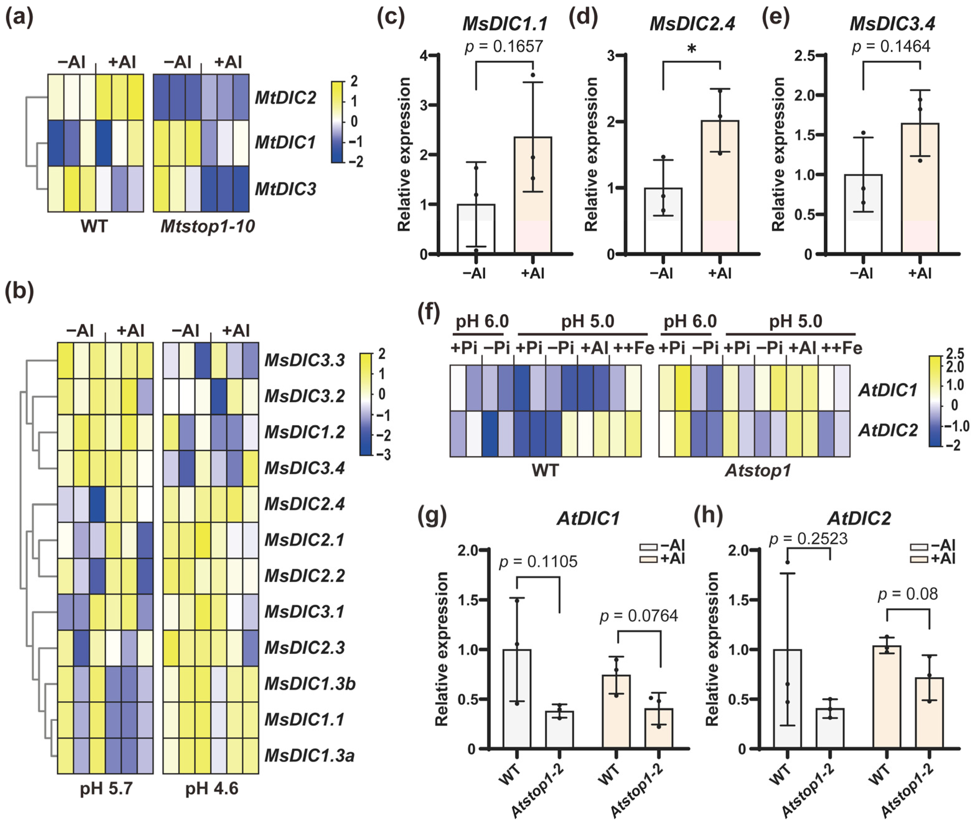 Plants 14 03250 g006