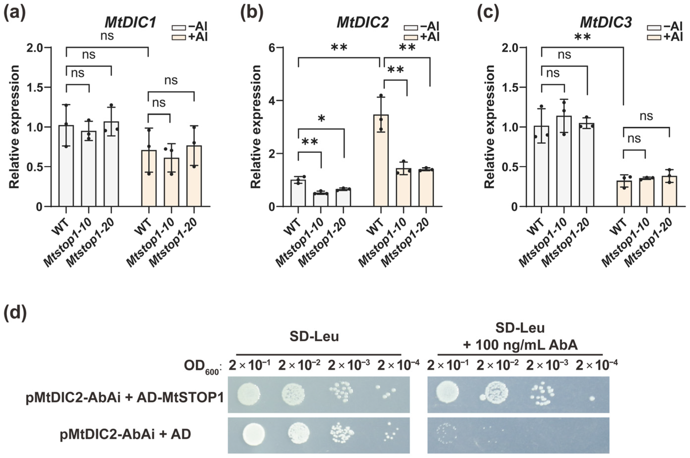 Plants 14 03250 g007