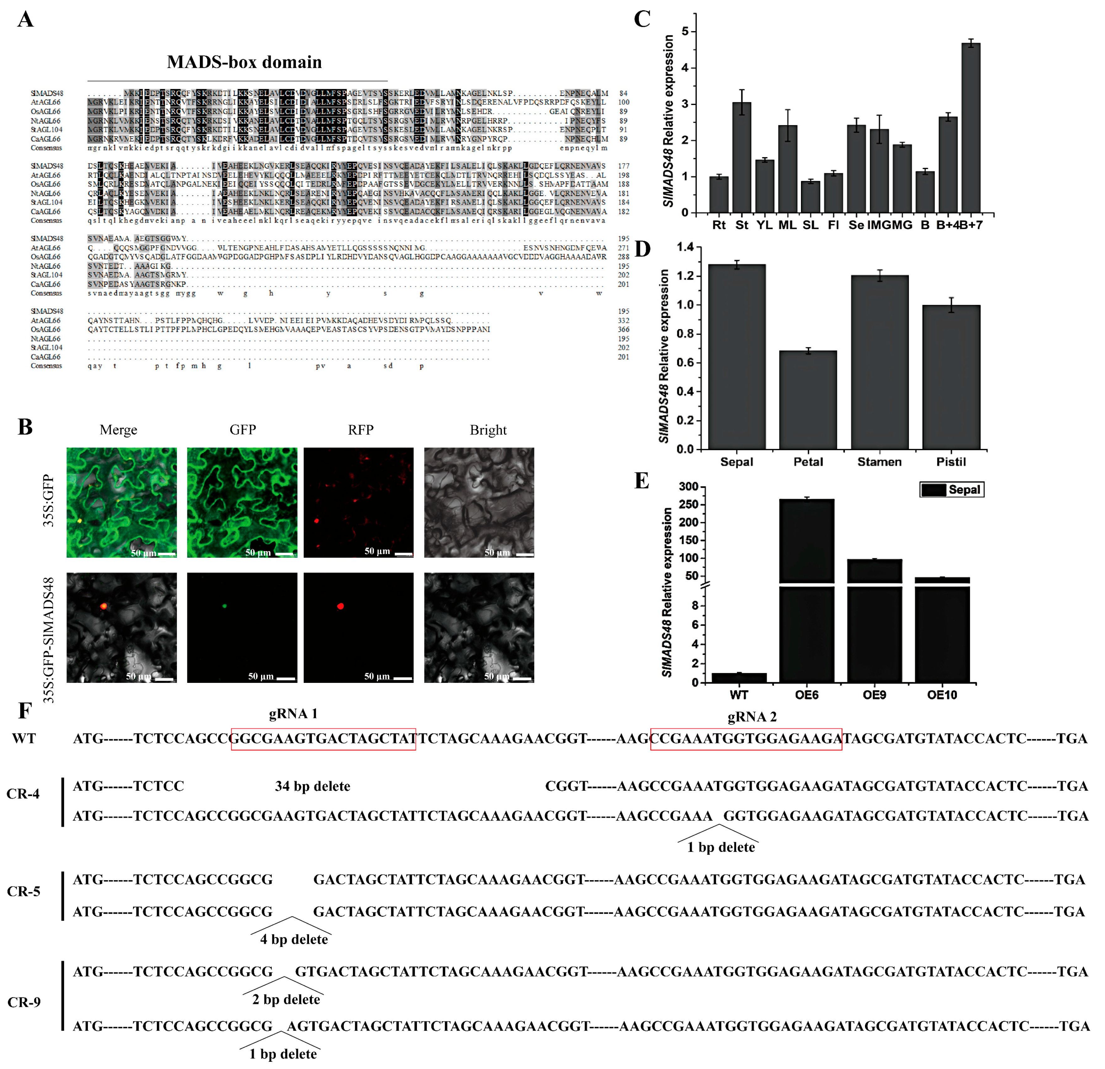 Plants 14 03259 g001