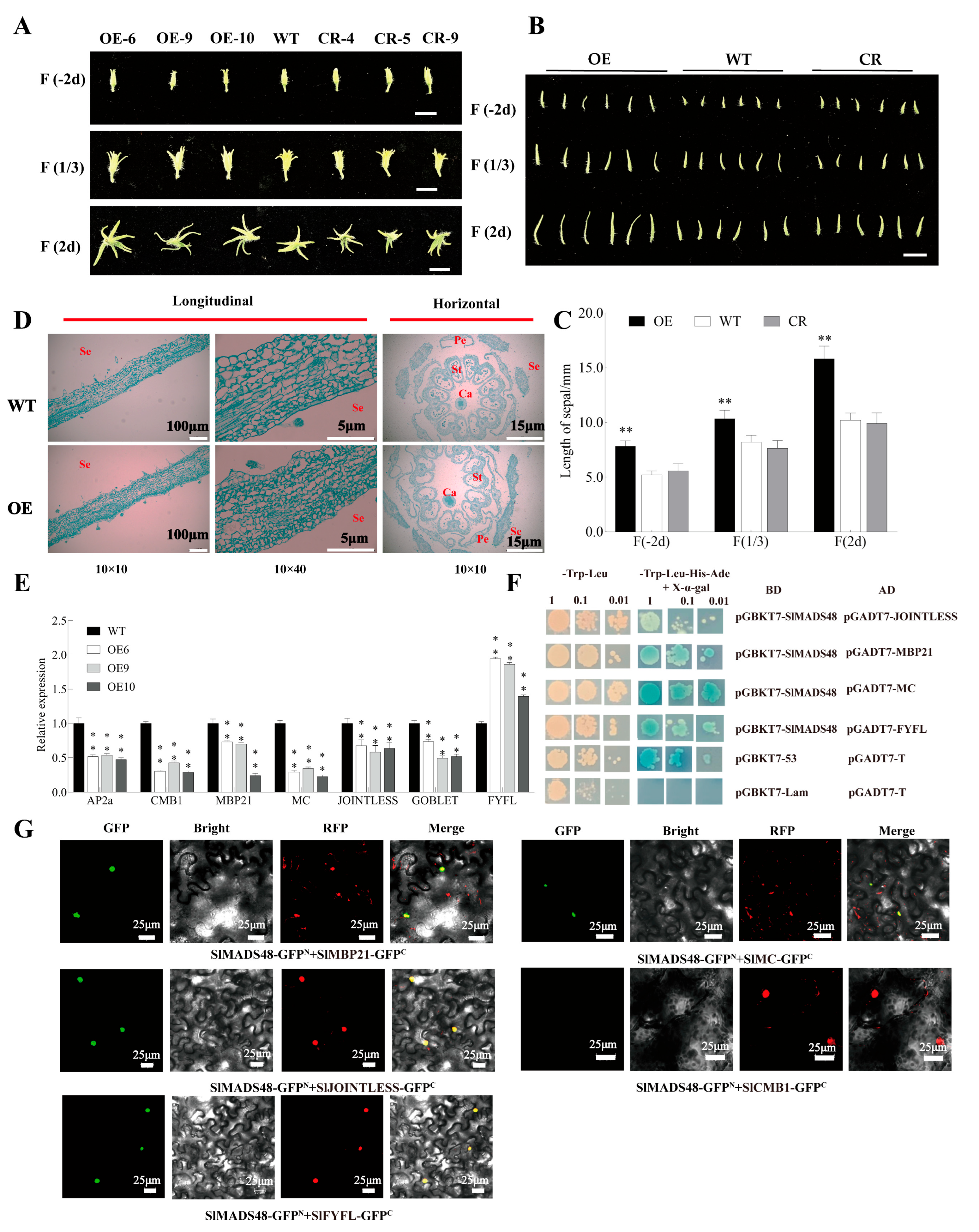 Plants 14 03259 g002