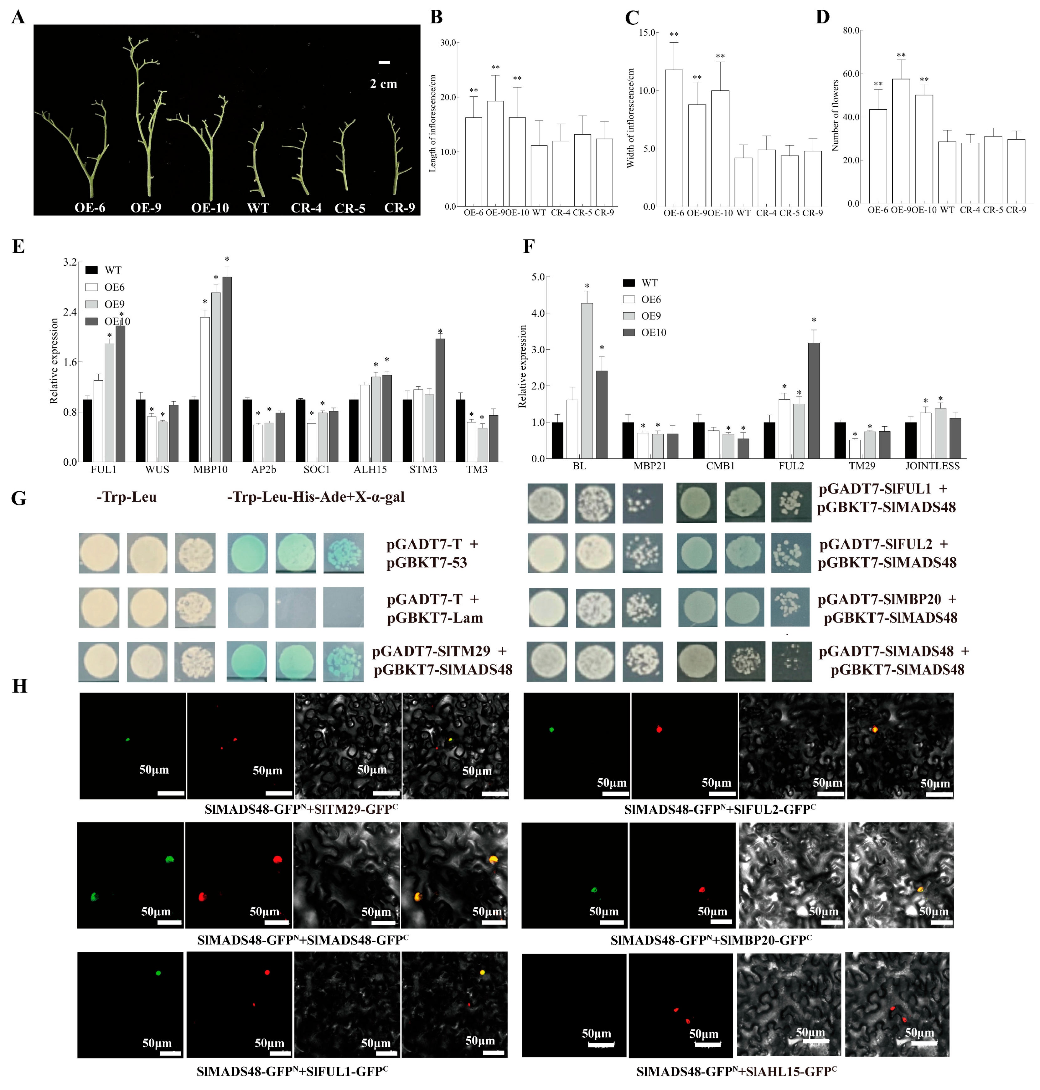 Plants 14 03259 g004