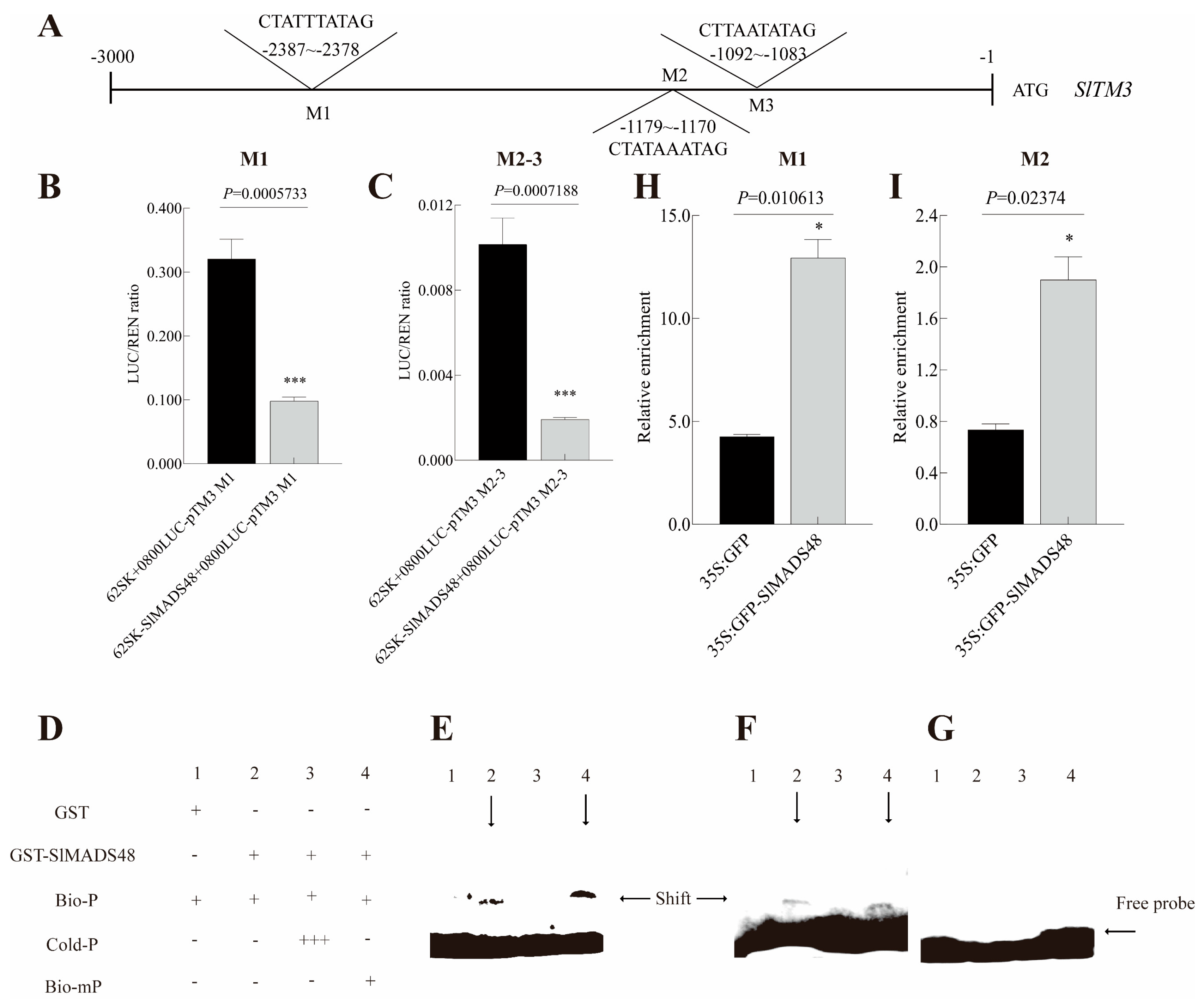 Plants 14 03259 g005