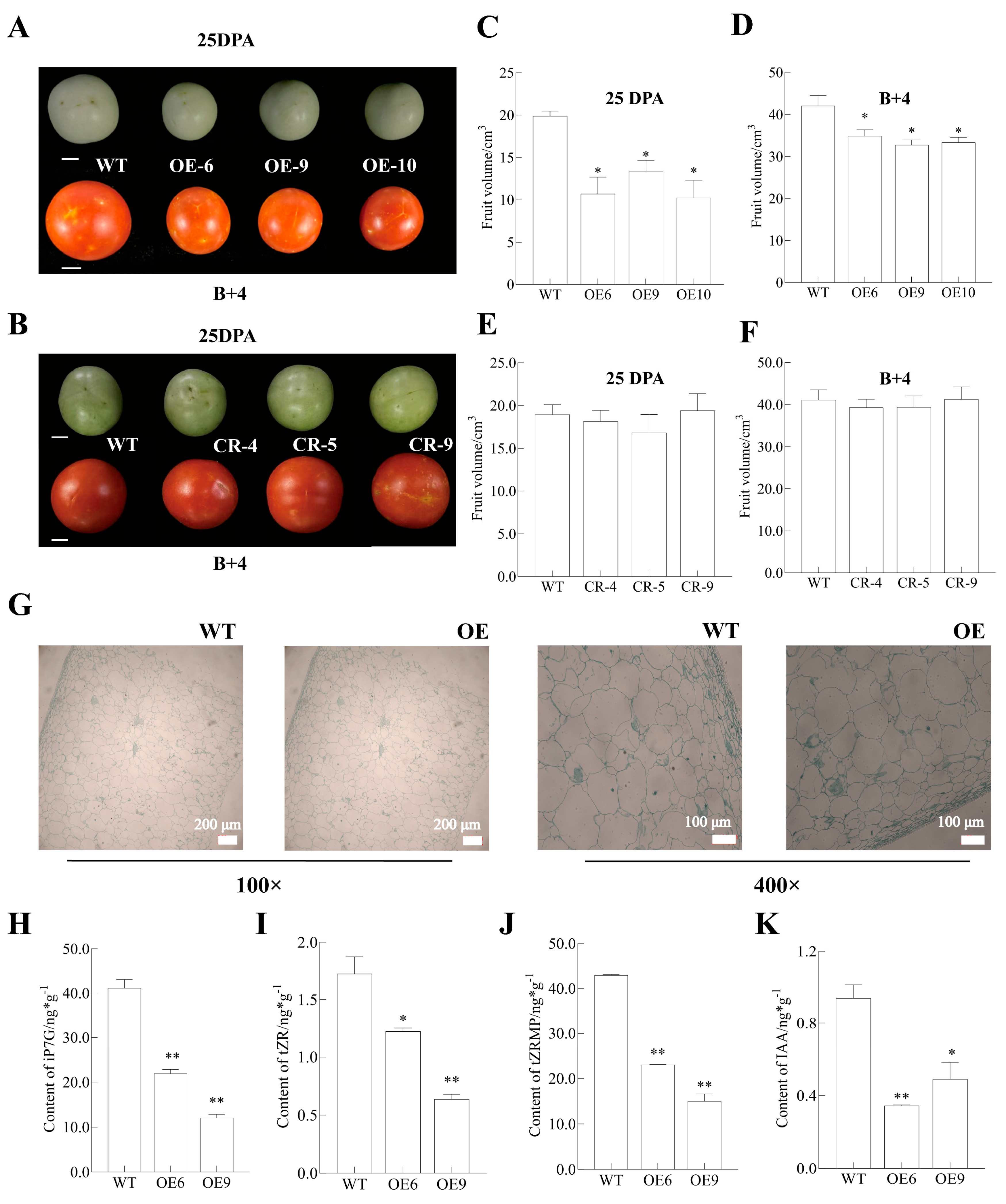 Plants 14 03259 g006