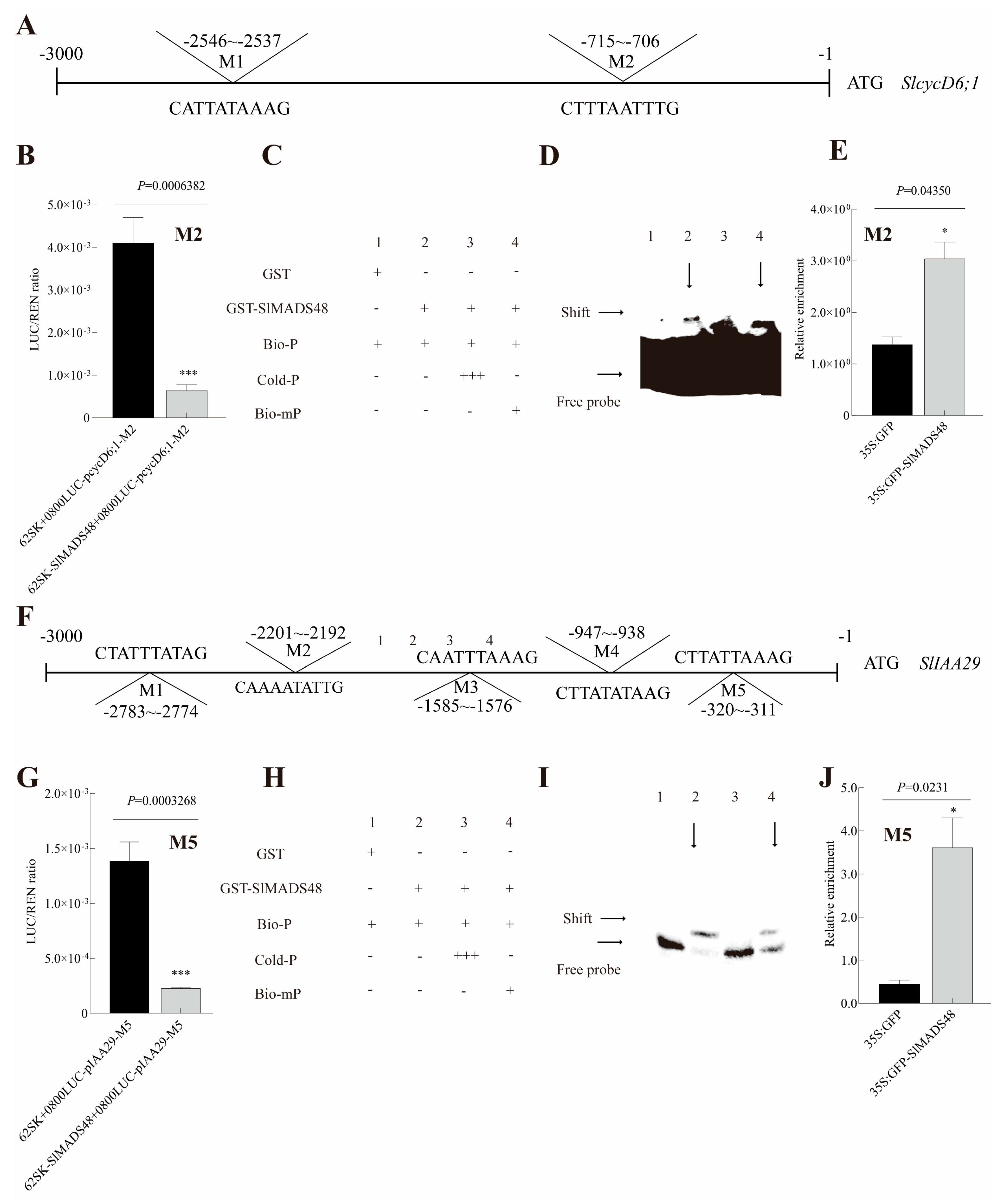 Plants 14 03259 g008