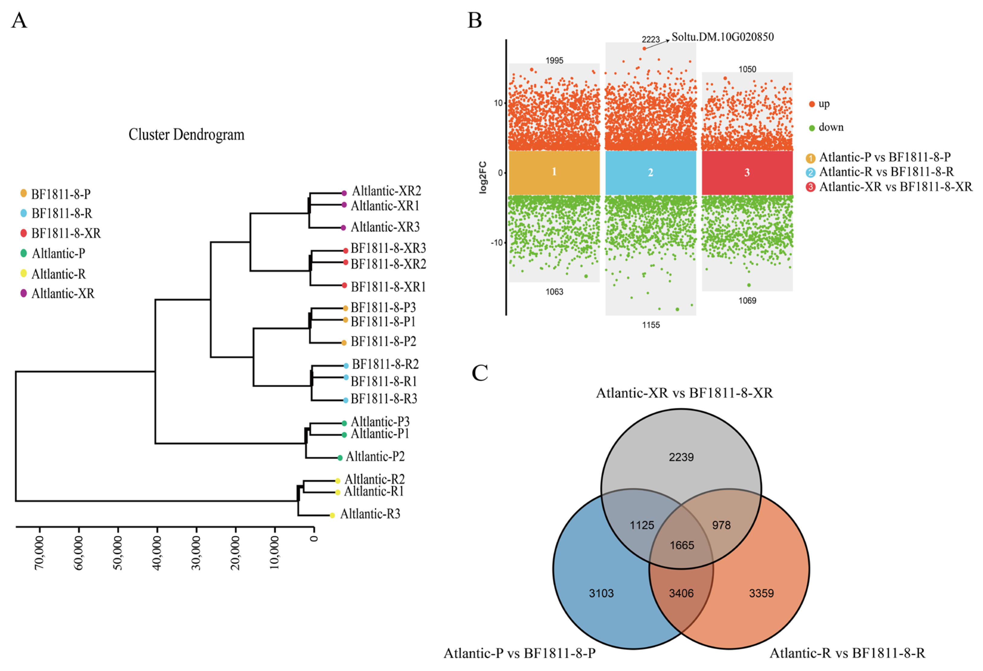 Plants 14 03260 g002