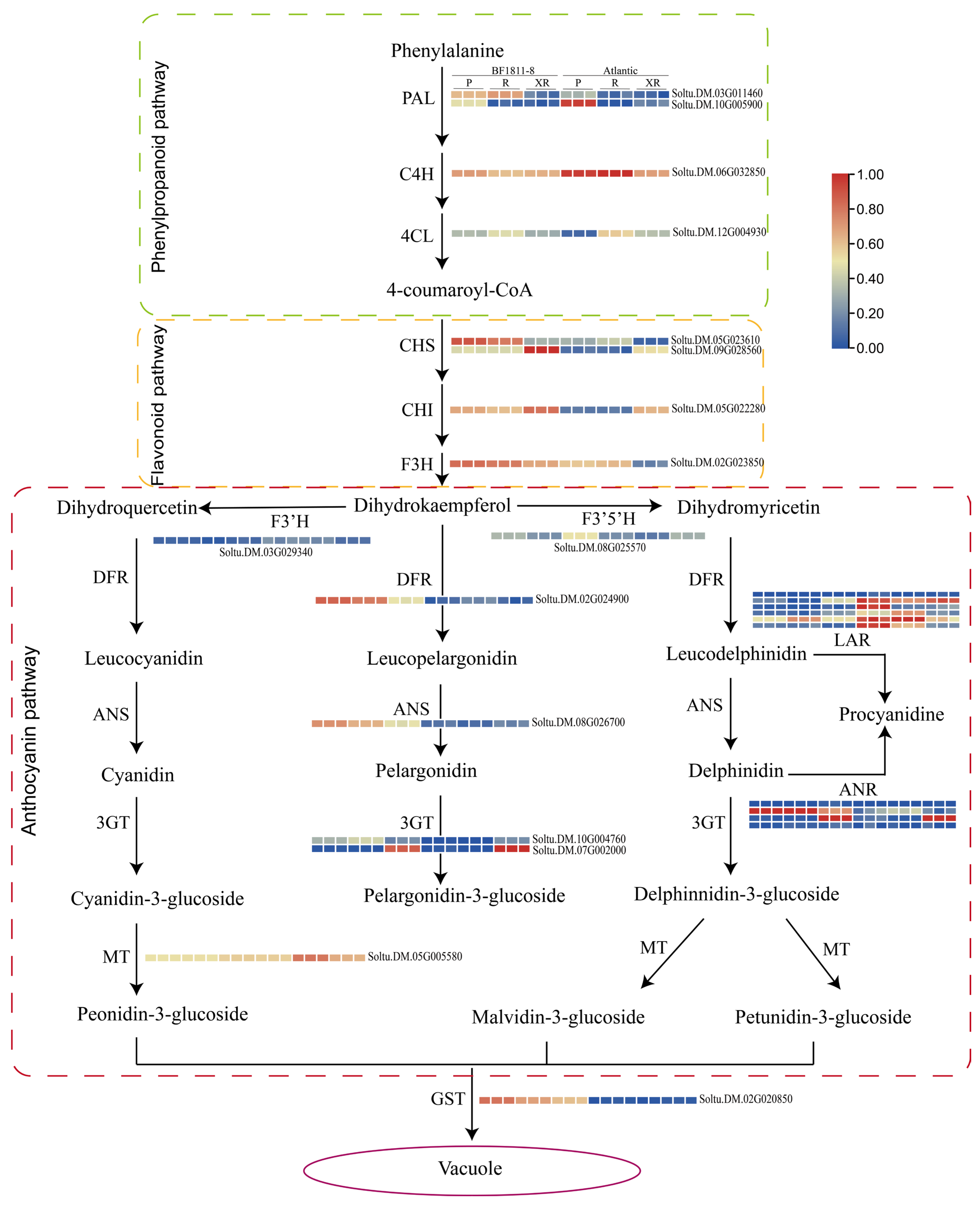 Plants 14 03260 g004