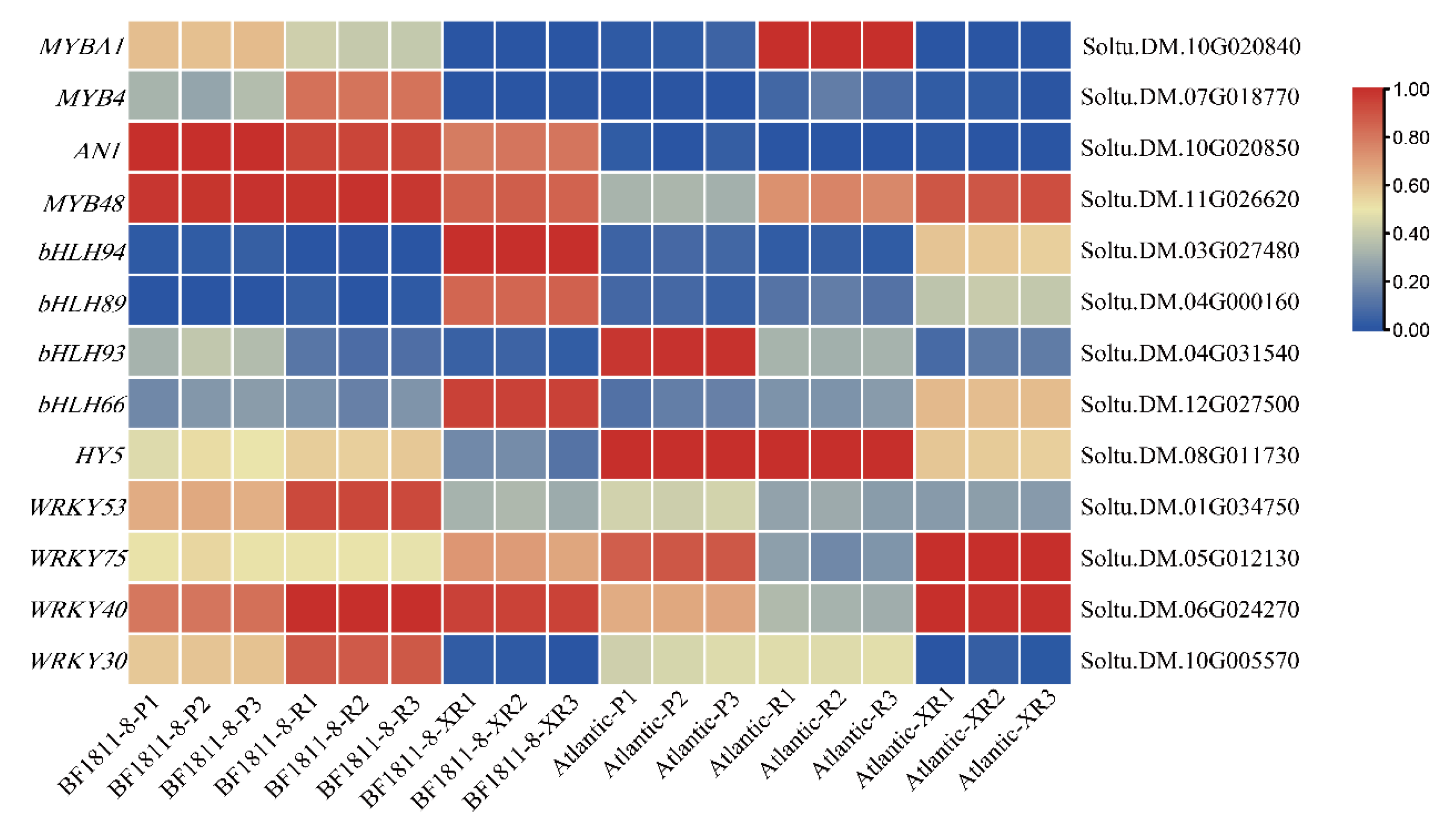 Plants 14 03260 g005
