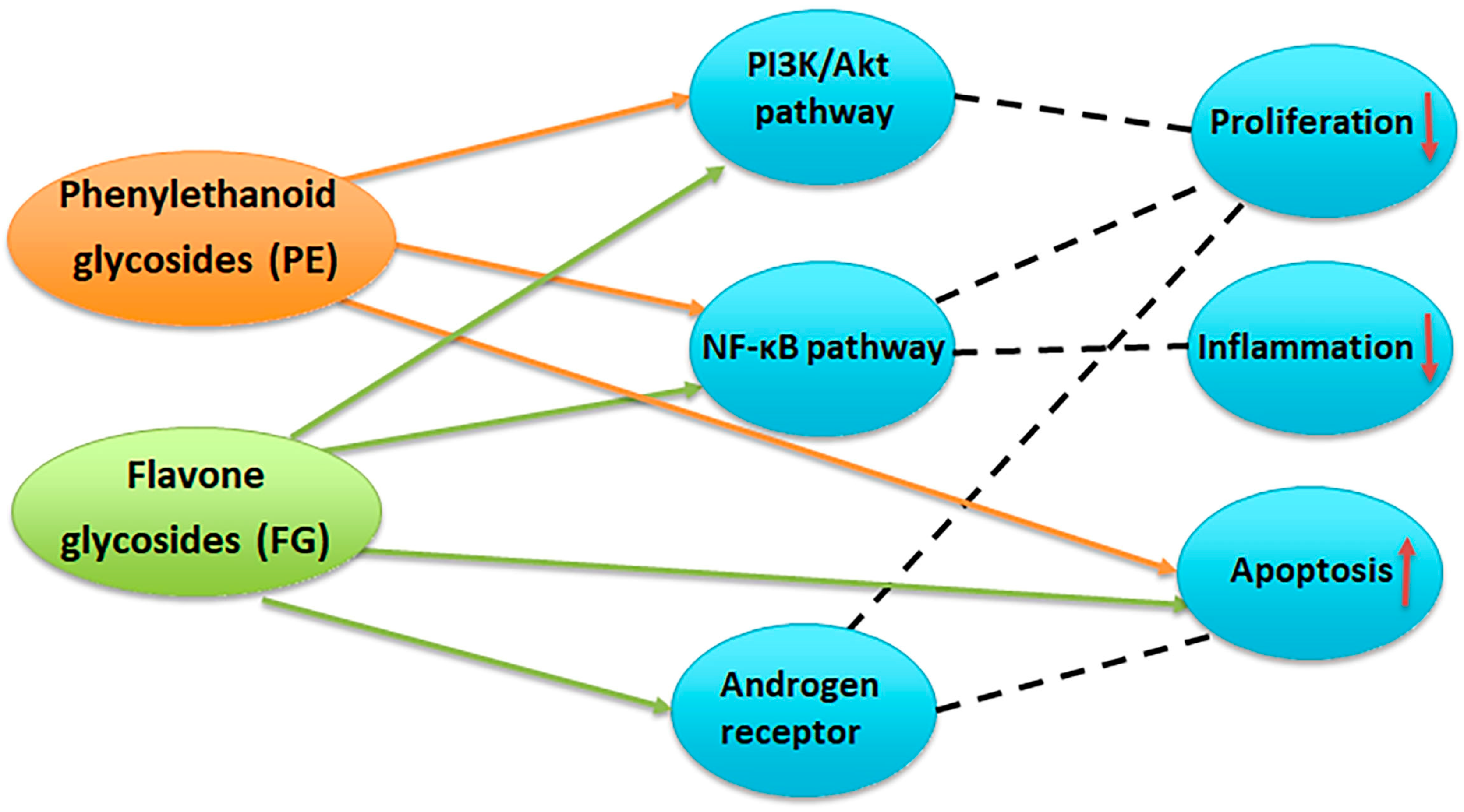 Plants 14 03263 g012 Plants 14 03263 g012