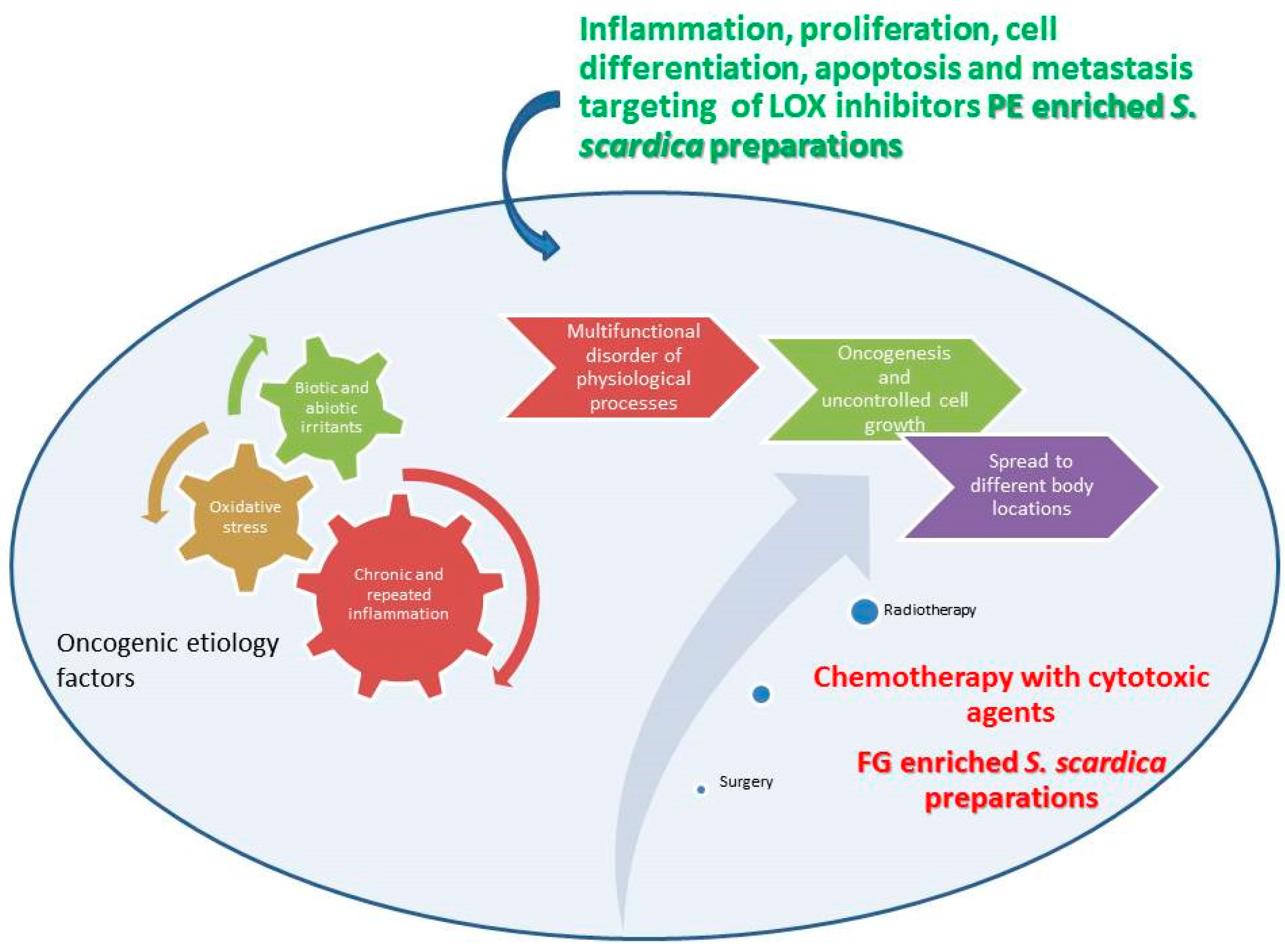 Plants 14 03263 g013 Plants 14 03263 g013