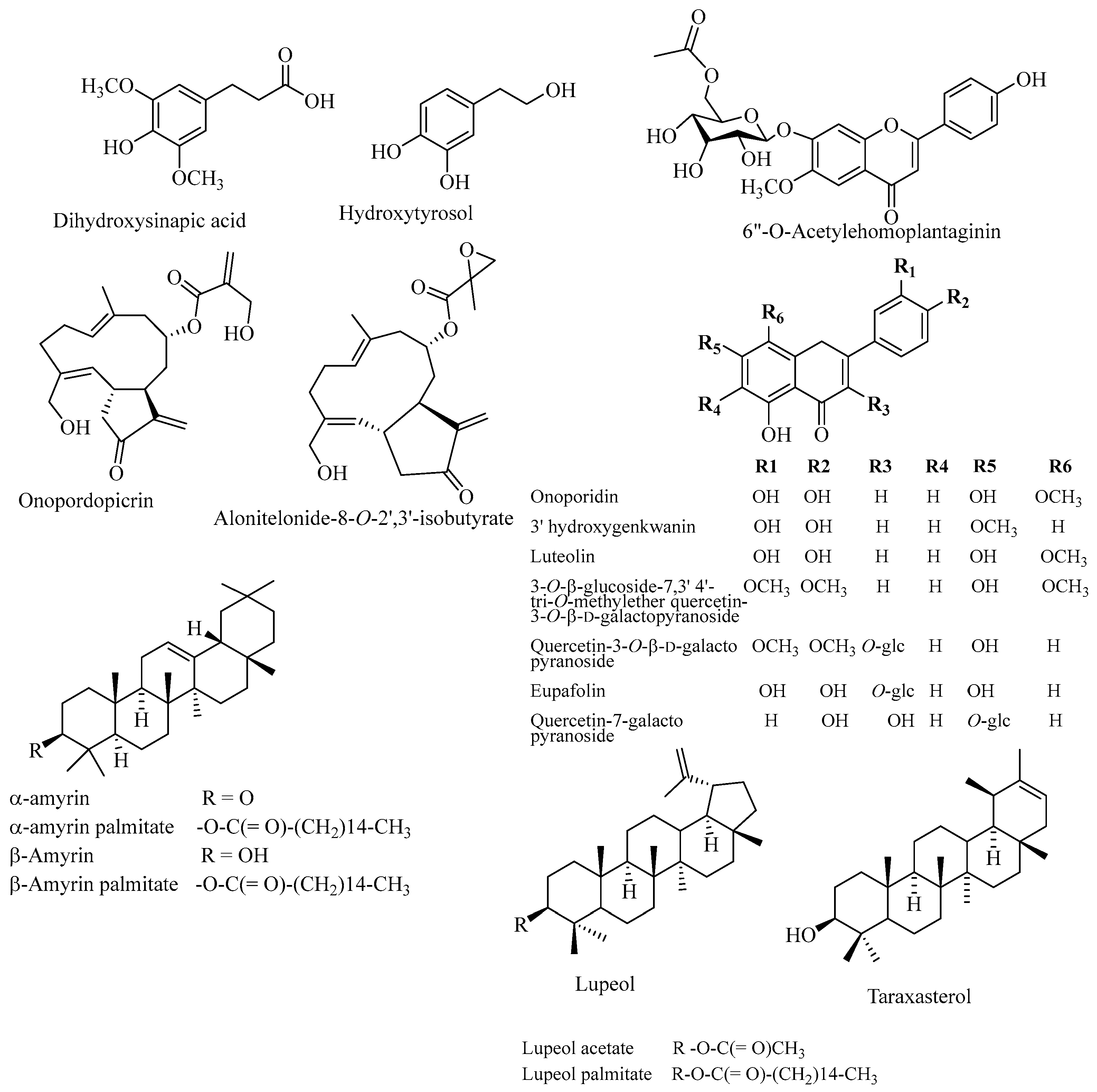 Plants 14 03267 g004